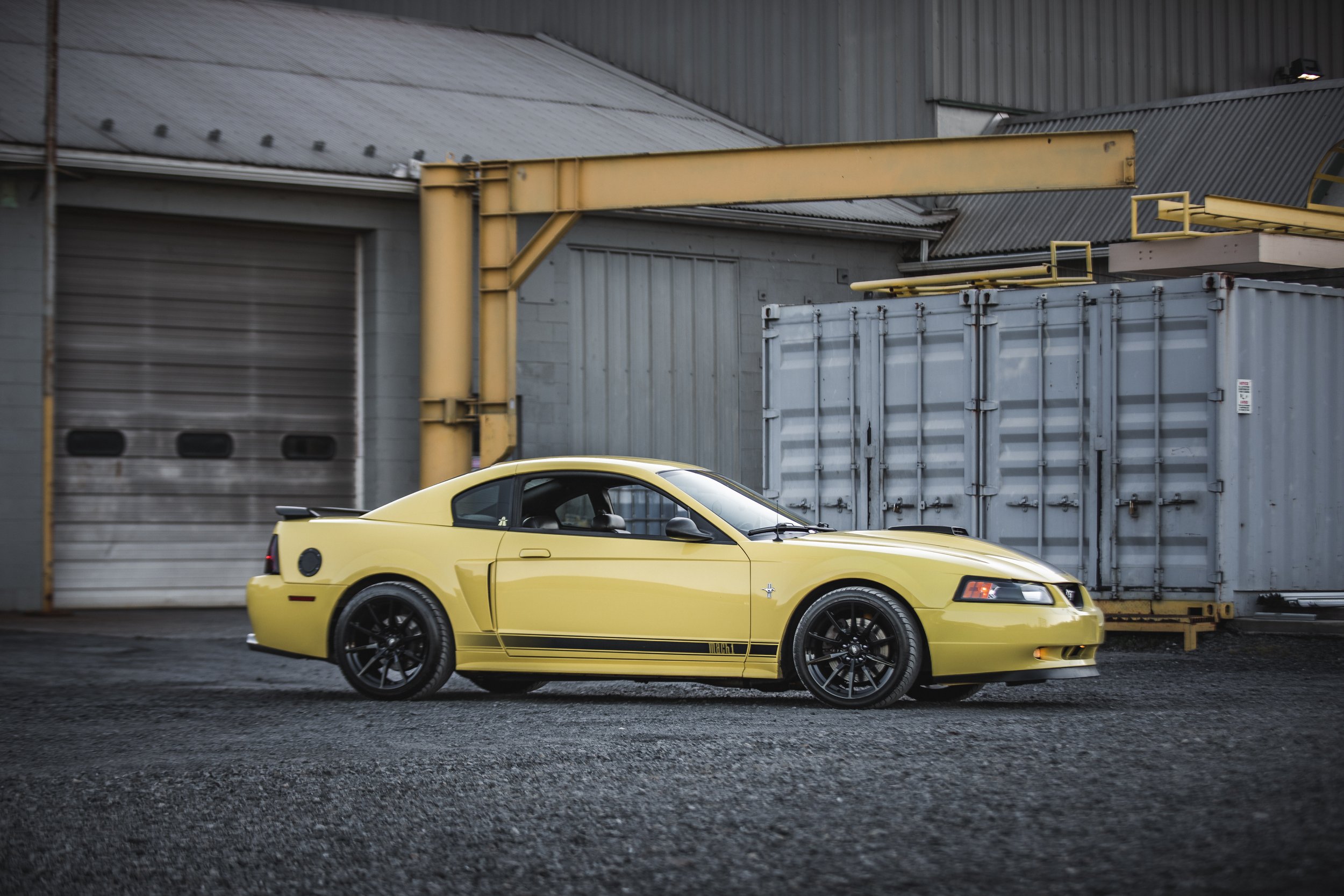 05 Mach1 Mustang-11.jpg