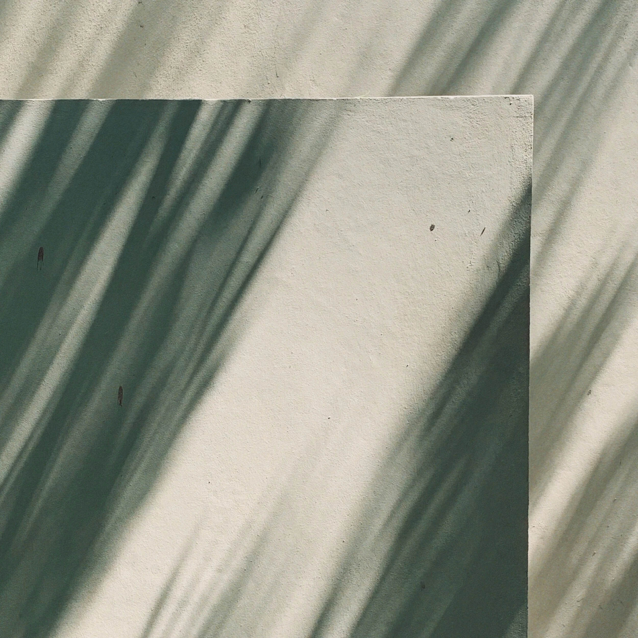 RNI-Films-IMG-7F6EF2B6-D26D-4C0D-84AF-2645E66C22F1.JPG