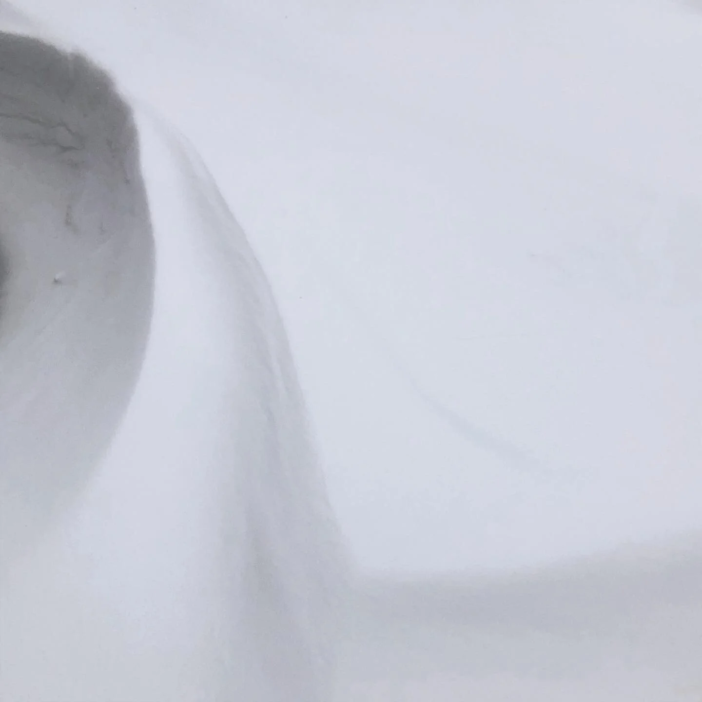 278E7655-A815-4D20-B6B8-E226C4523E4B.JPG