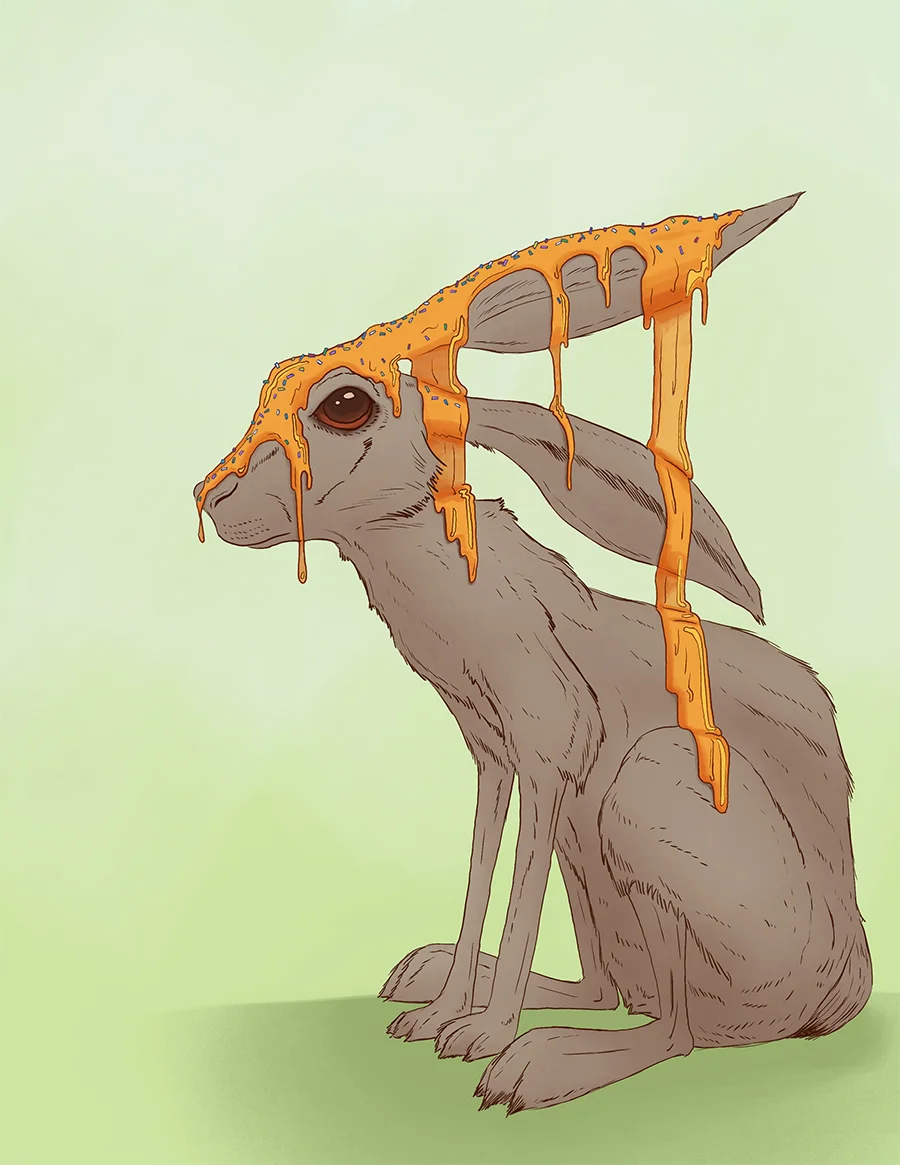 jackrabbit_v05_web.jpg