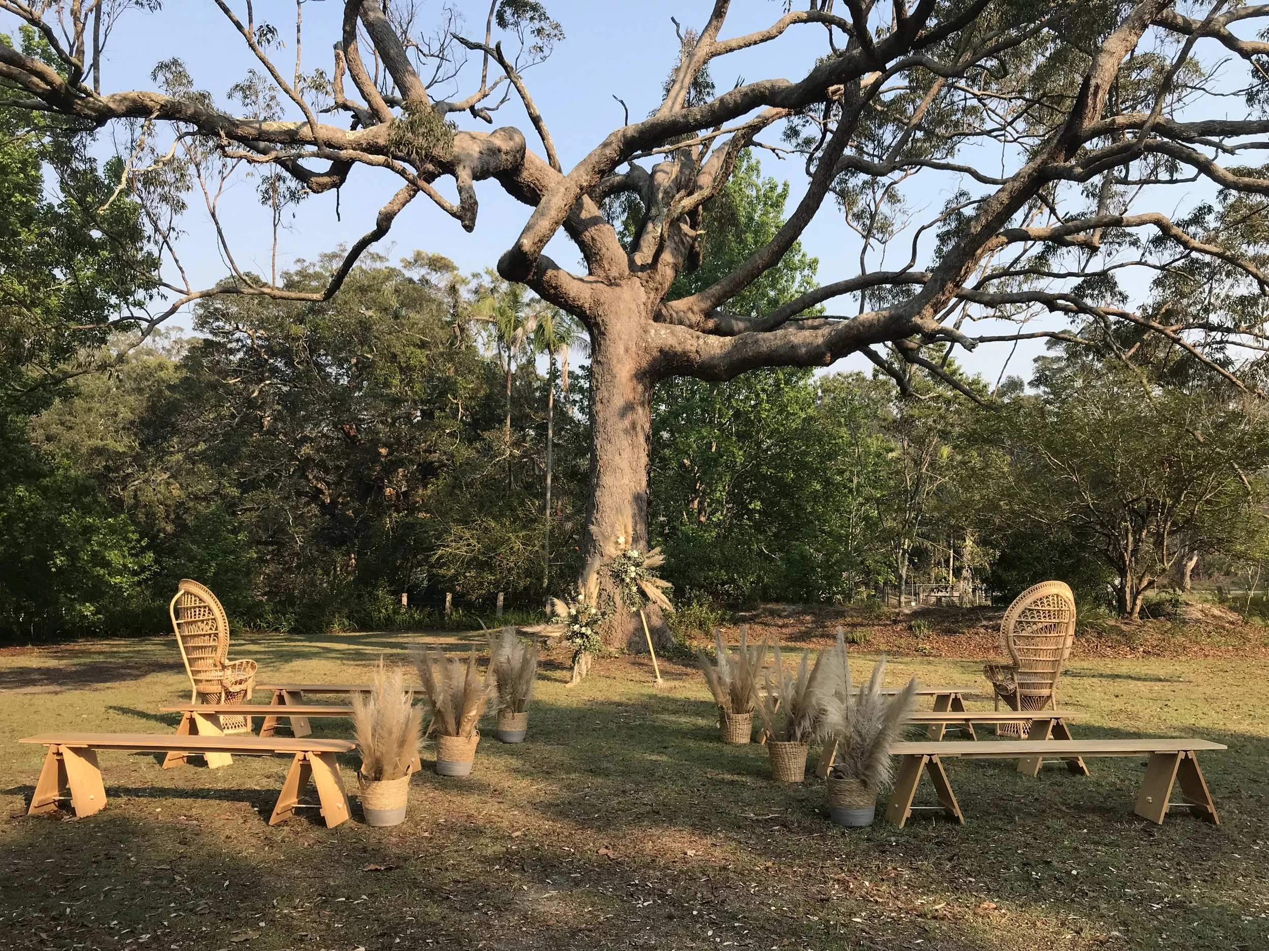 Natural Bench Seats