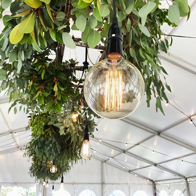 When your lighting game is strong! 💡 🌿
Festoon lighting and filament features globes by yours truly. Shout out to @sarahjhudson for bringing this to life with the lushest hanging foliage to create that dreamy green &amp; white.