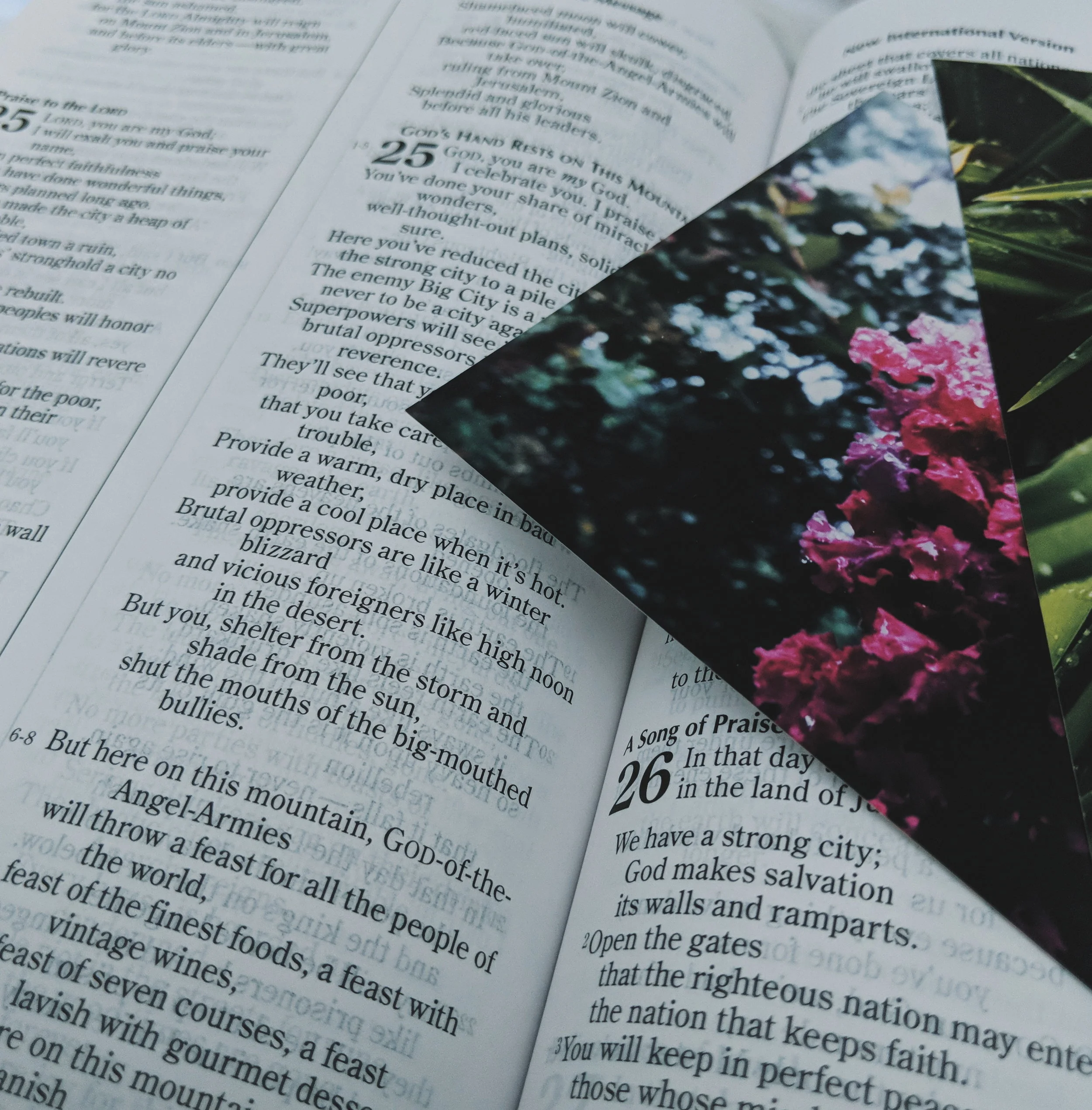 Make me a refuge: a Sunday prayer.