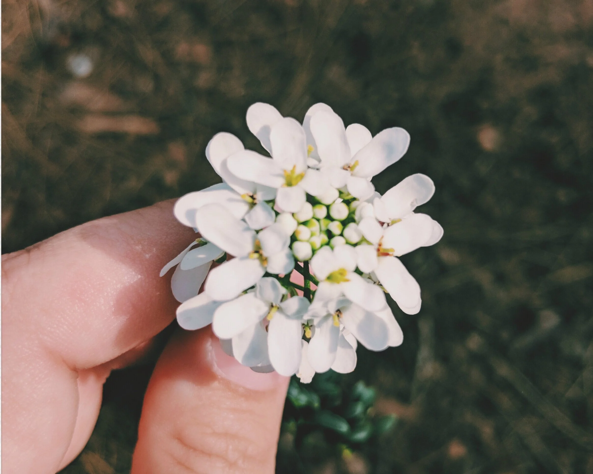 On healing when your heart is tired (the best I have to offer us).