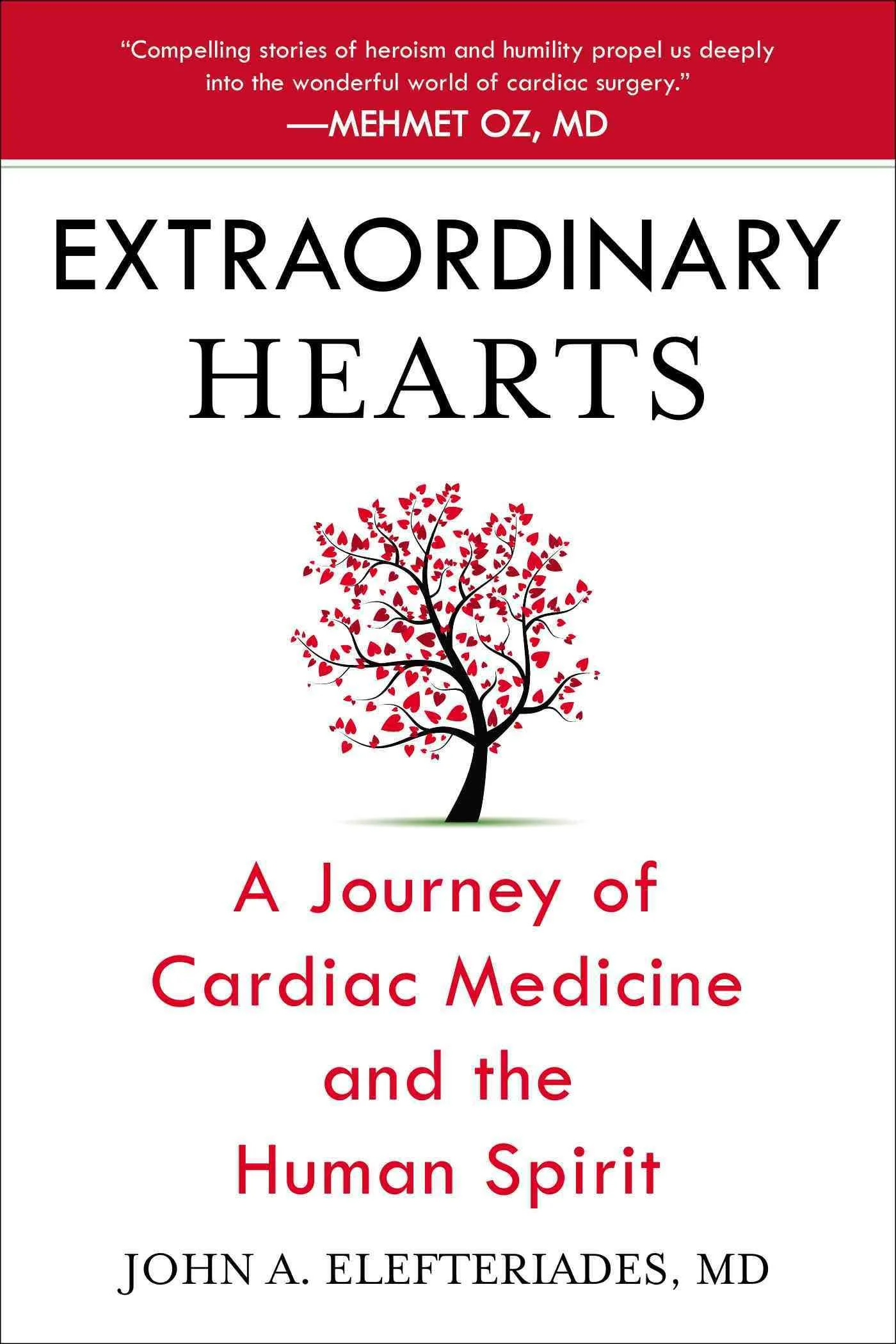 book-extraordinaryhearts.jpg