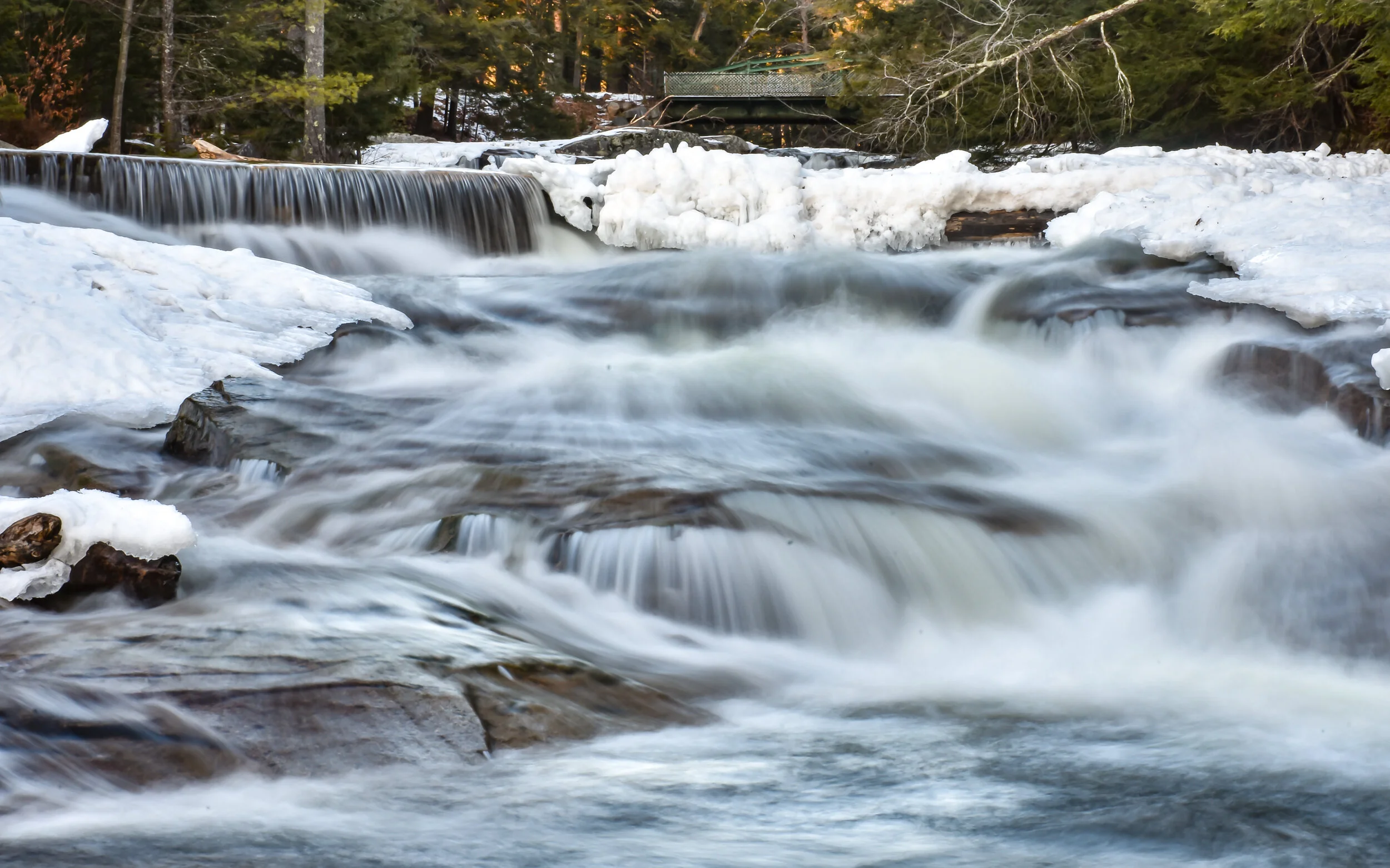 Peter Lowenstein __December 28, 2019-0286.jpg