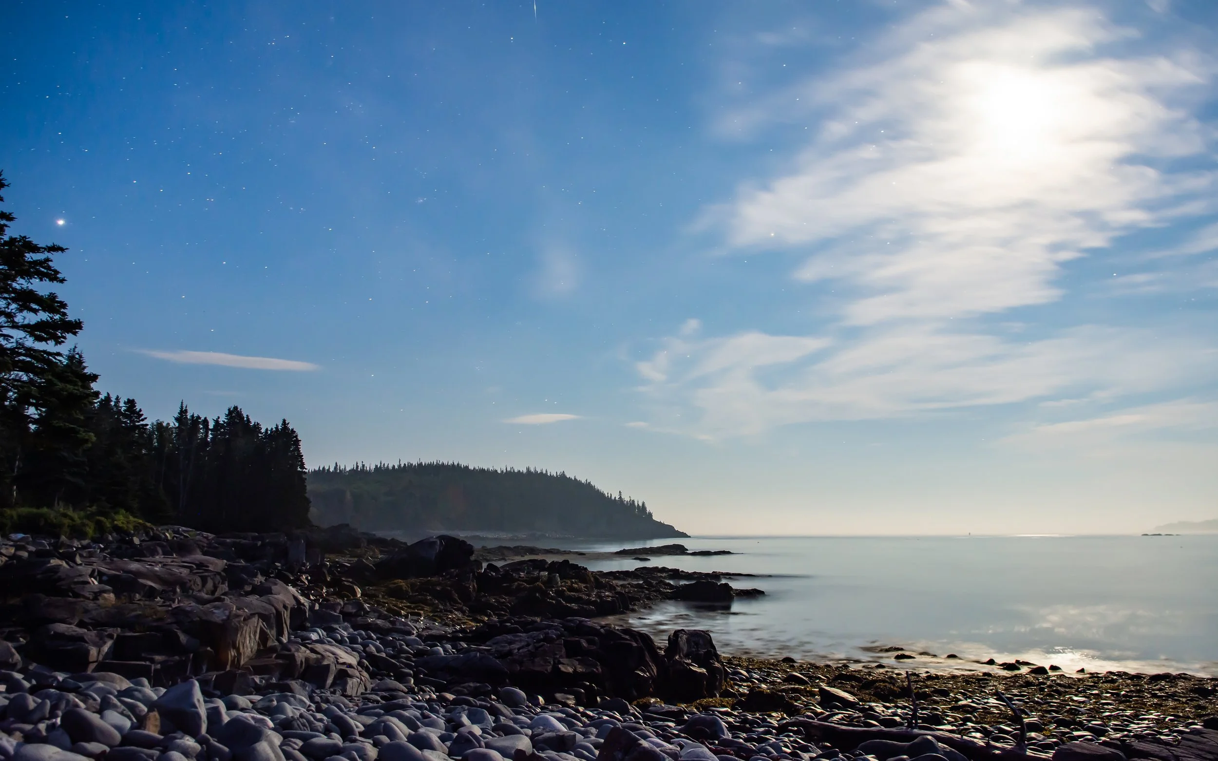 Peter Lowenstein __July 28, 2020-0084.jpg