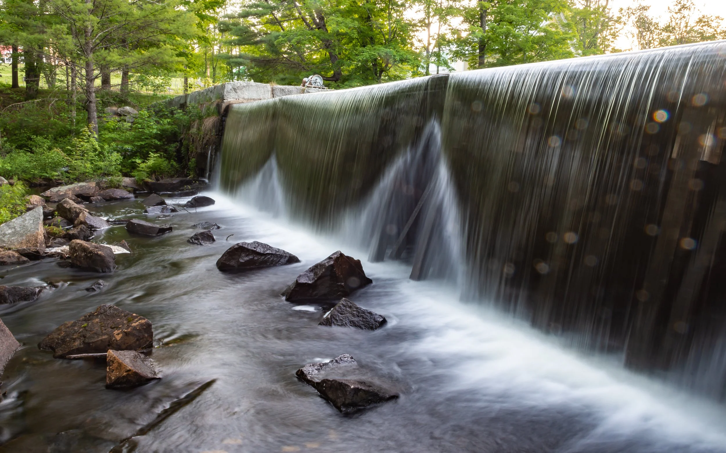 Peter Lowenstein __May 30, 2020-0025.jpg