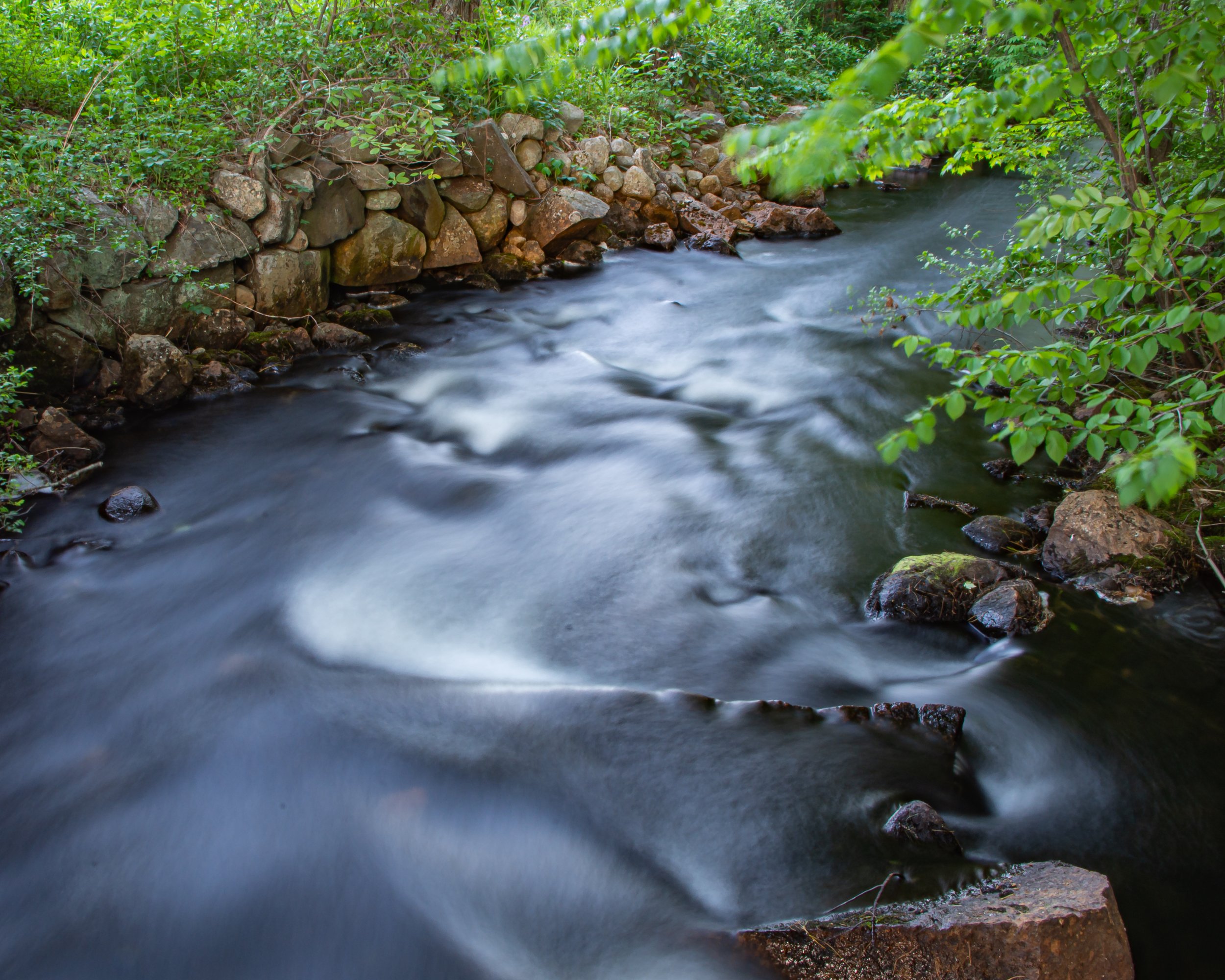 Peter Lowenstein __May 30, 2020-0037.jpg