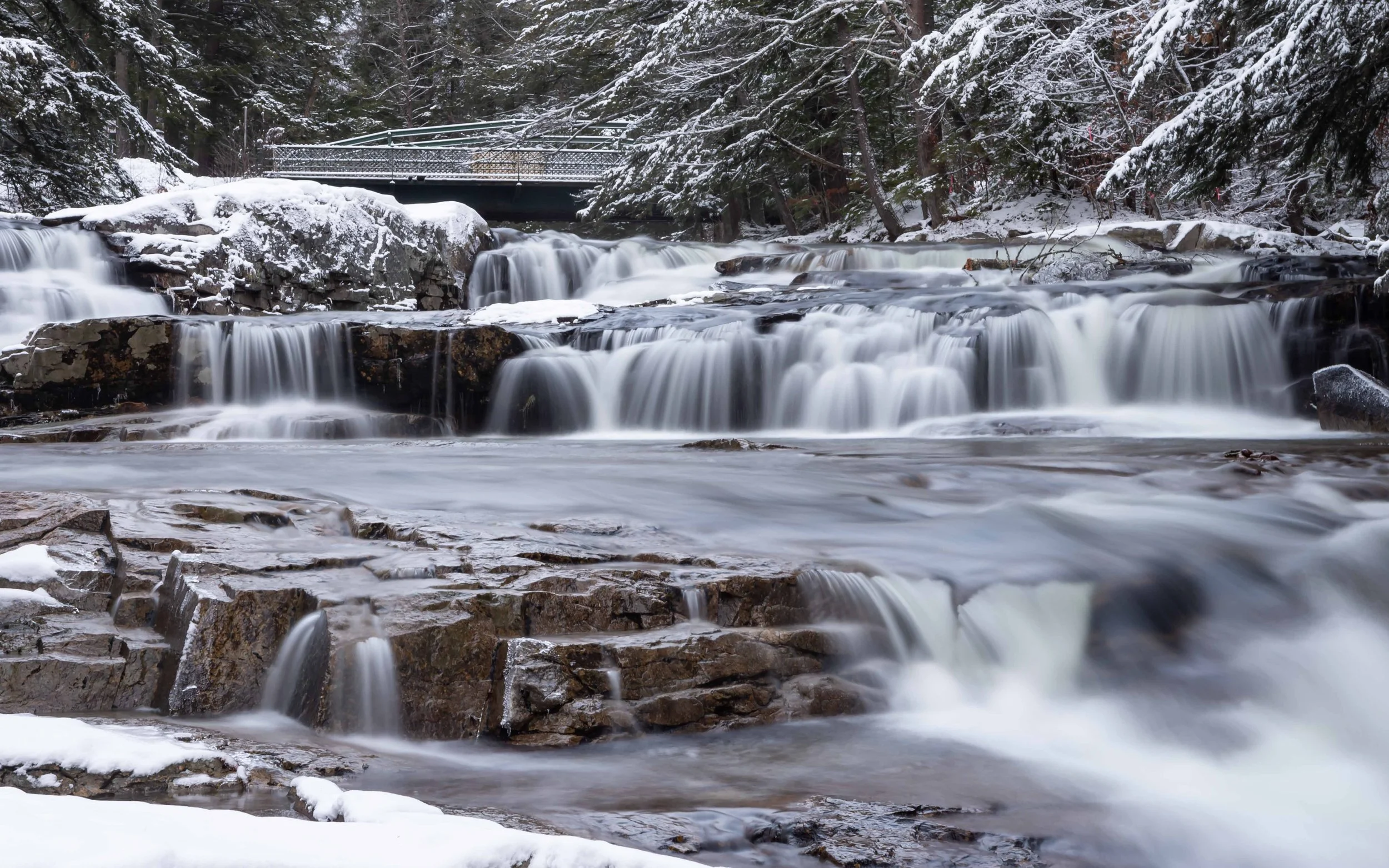 peterlowenstein2020photos6 copy.jpg