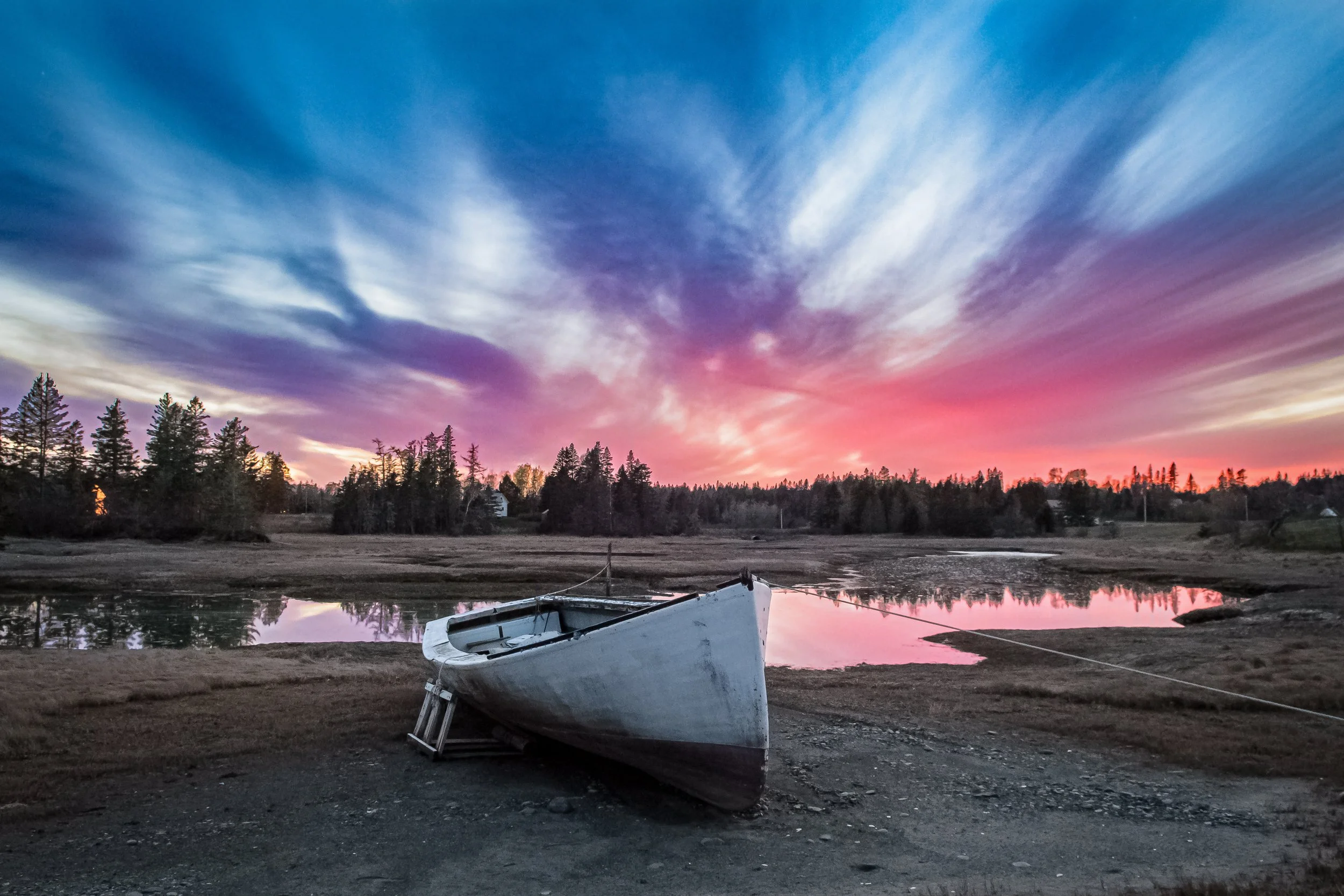 Bold-Coast_PLowenstein_2020-48-Enhanced-3 copy.jpg