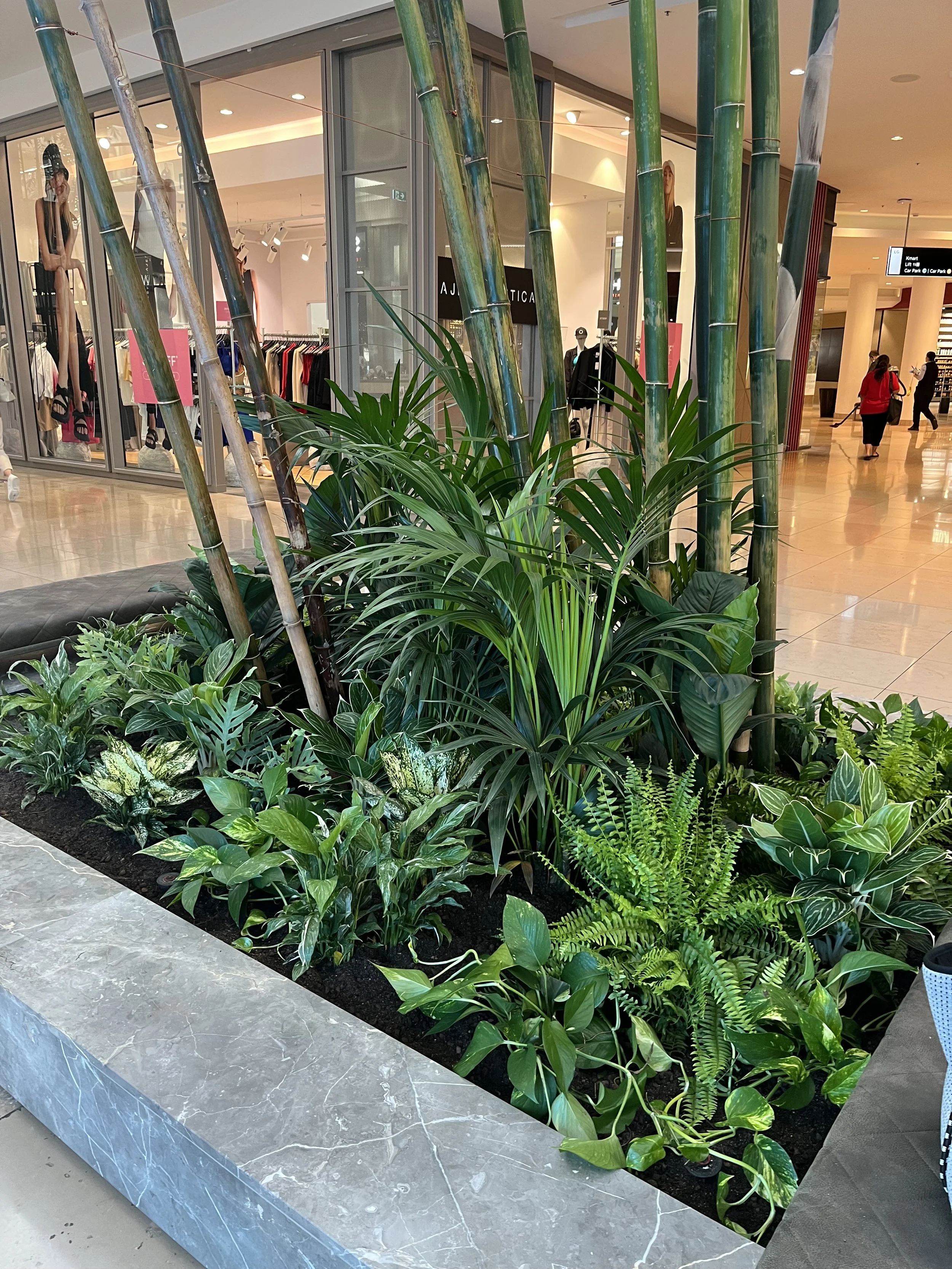 Bamboo planters, Chadstone Shopping Centre