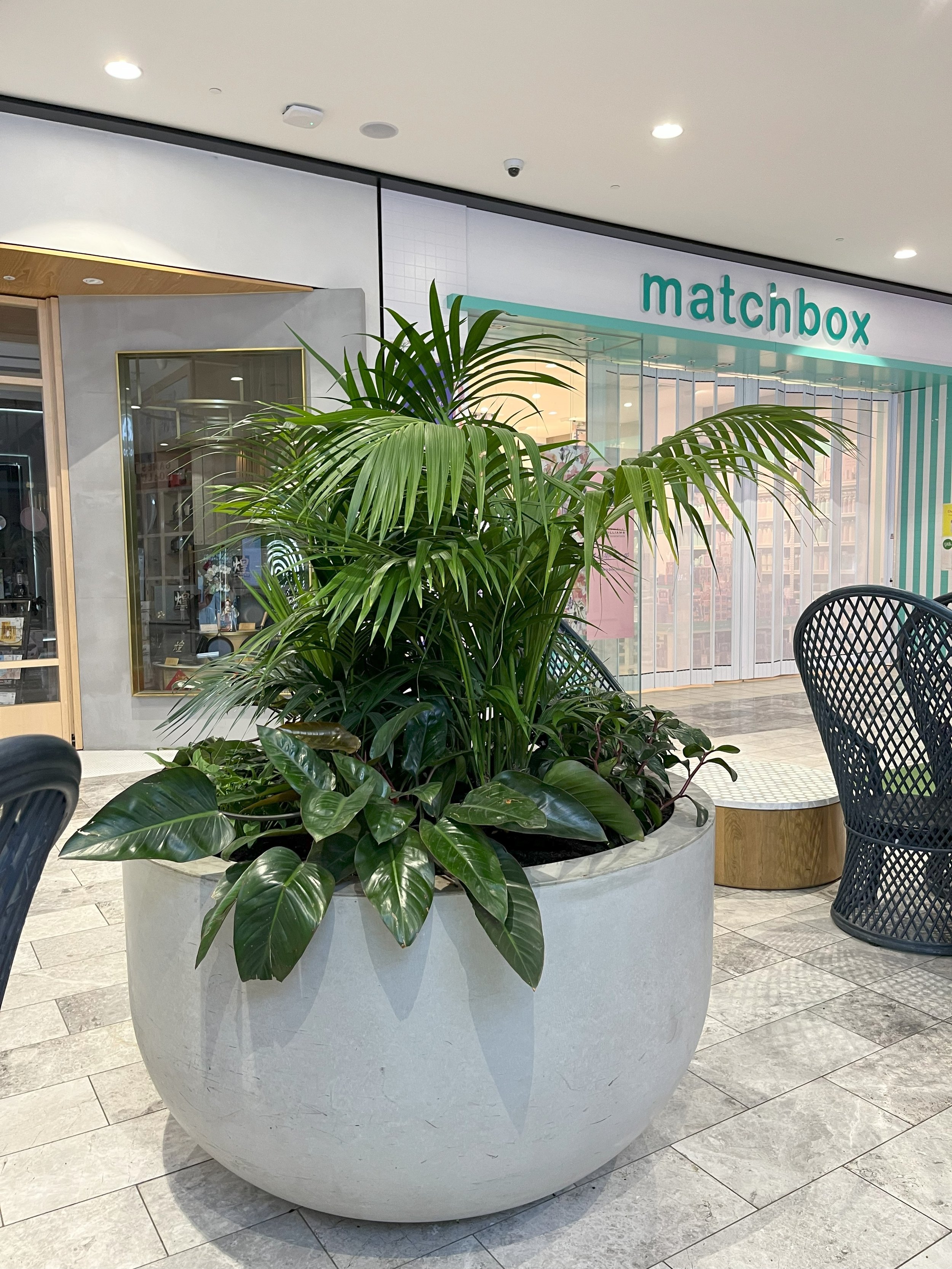 The Glen internal plant upgrade