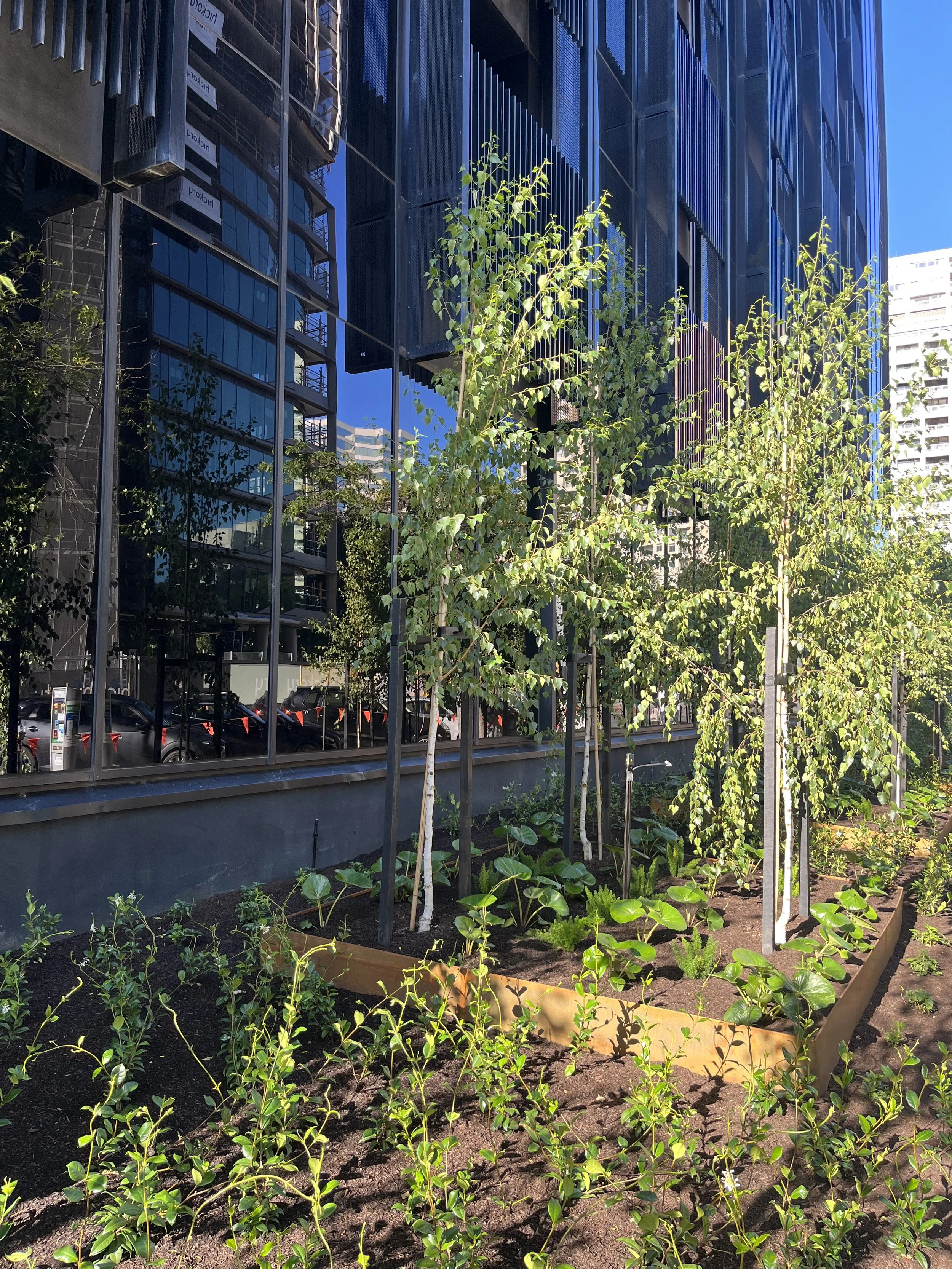 Leopold St, South Melbourne