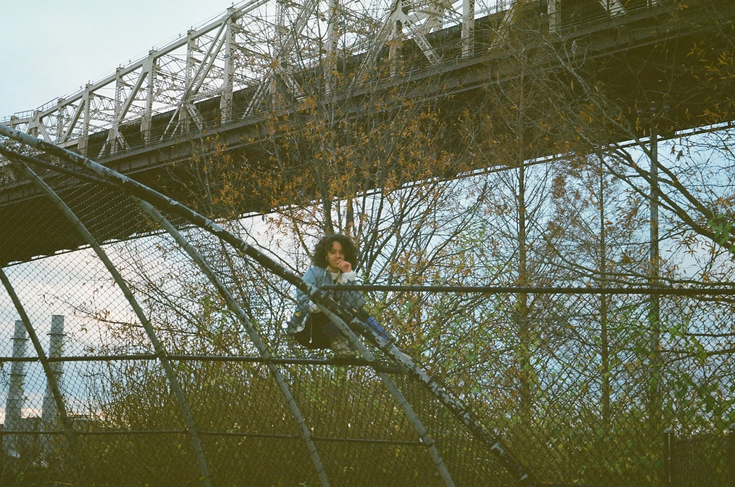 19620006.jpg
