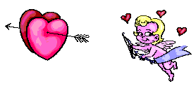 giphy-3.gif