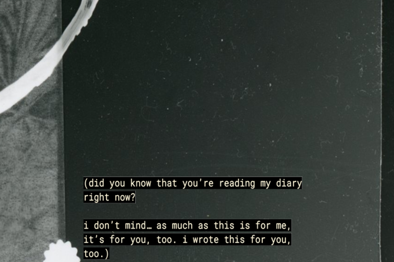 collage_17.png