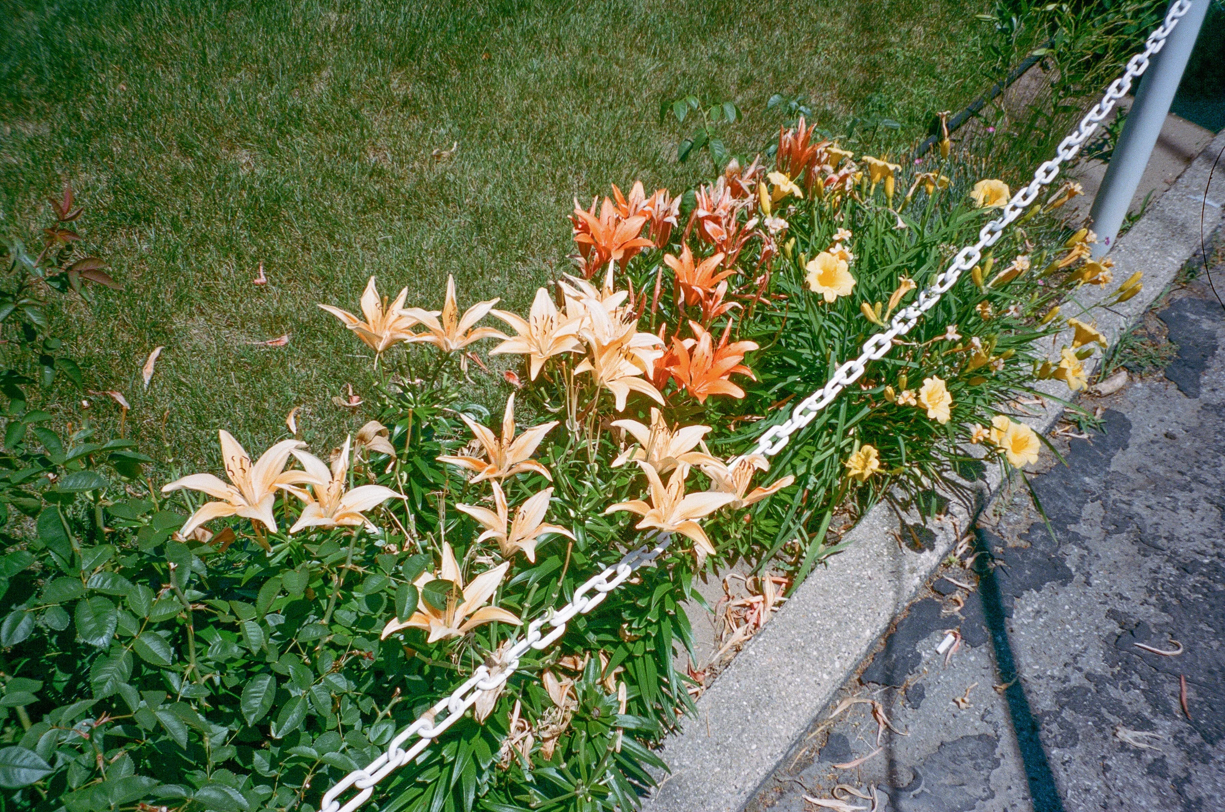 55330009 copy.jpg