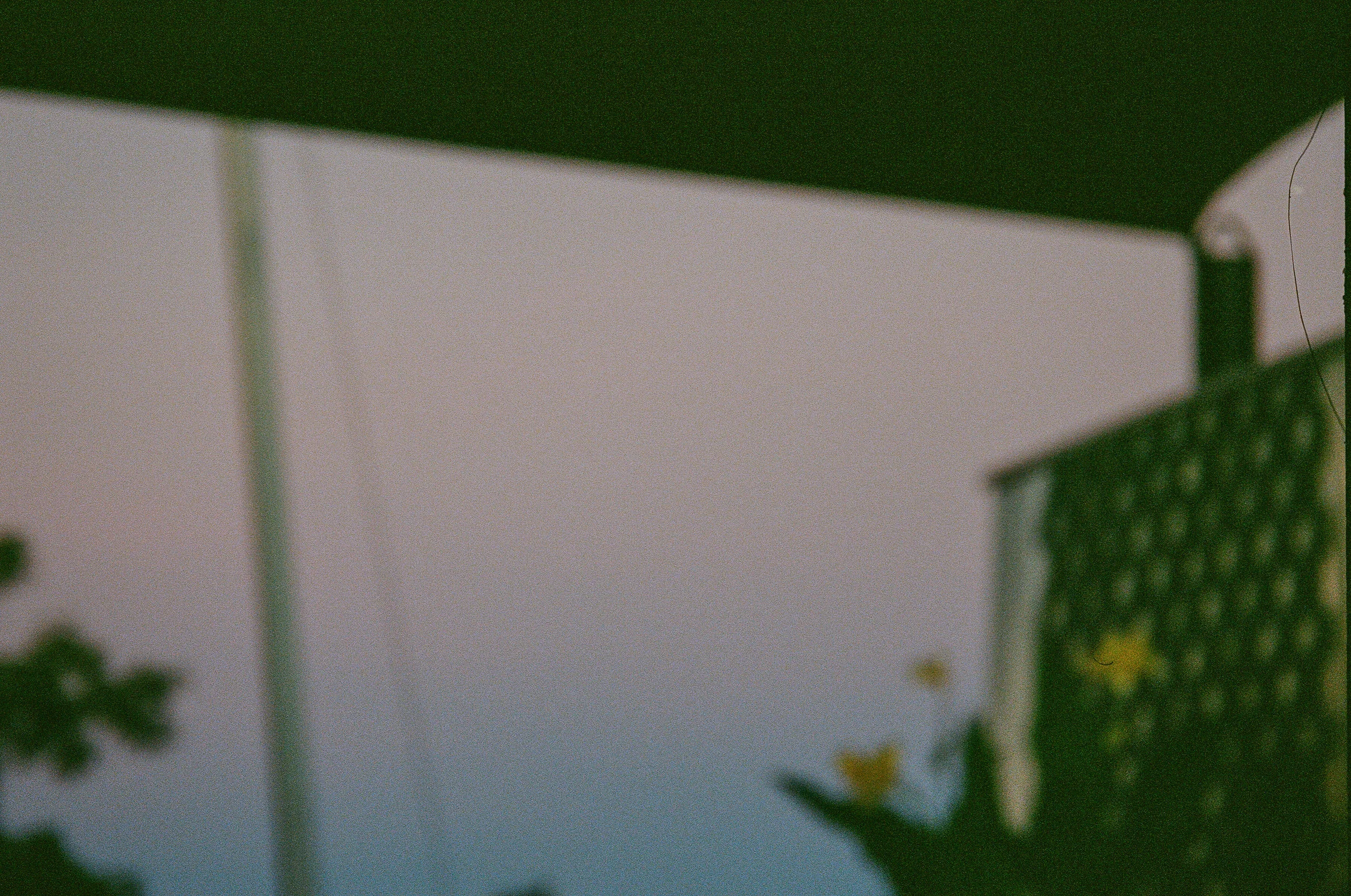 55330021 copy.jpg