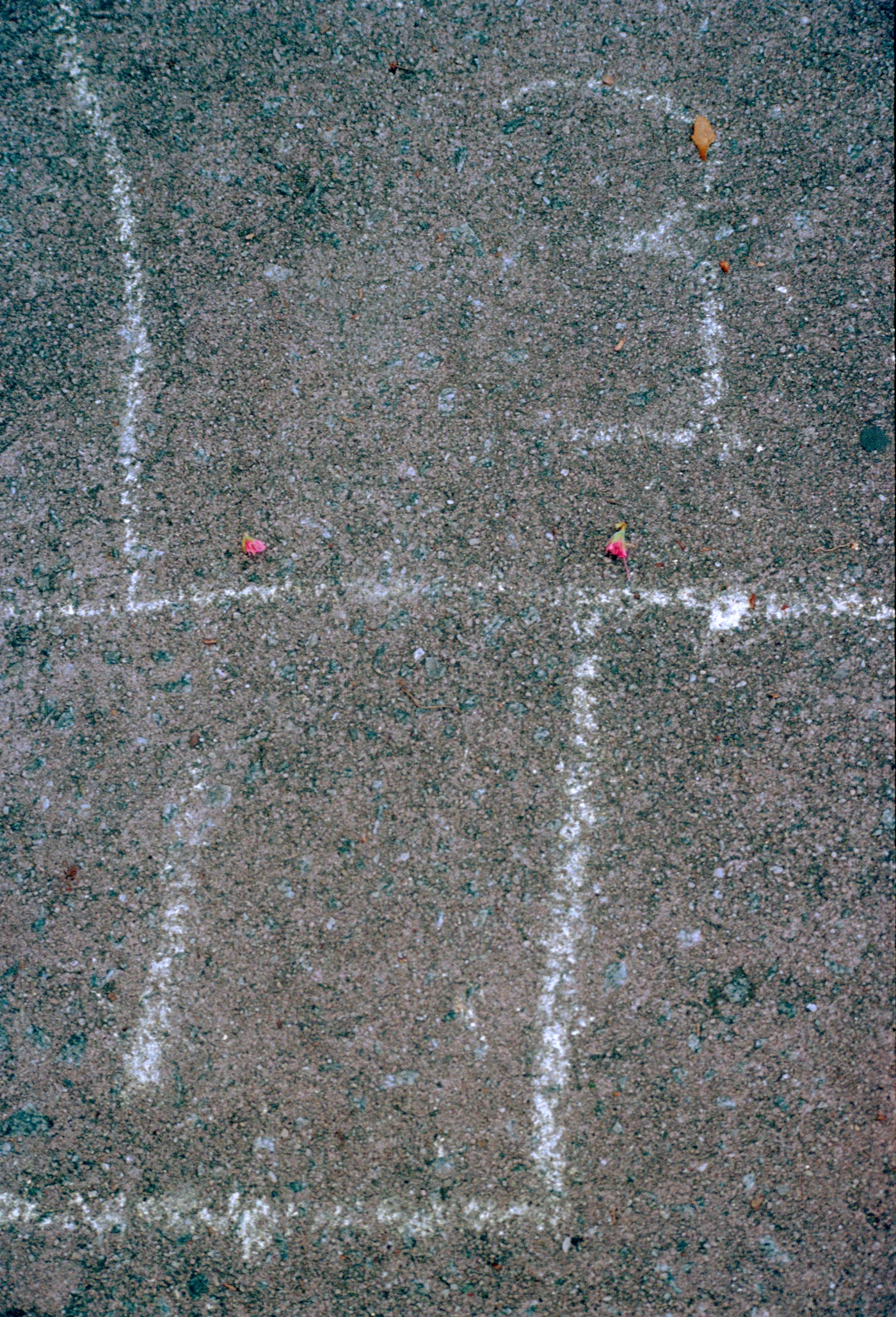 13-copy.jpg