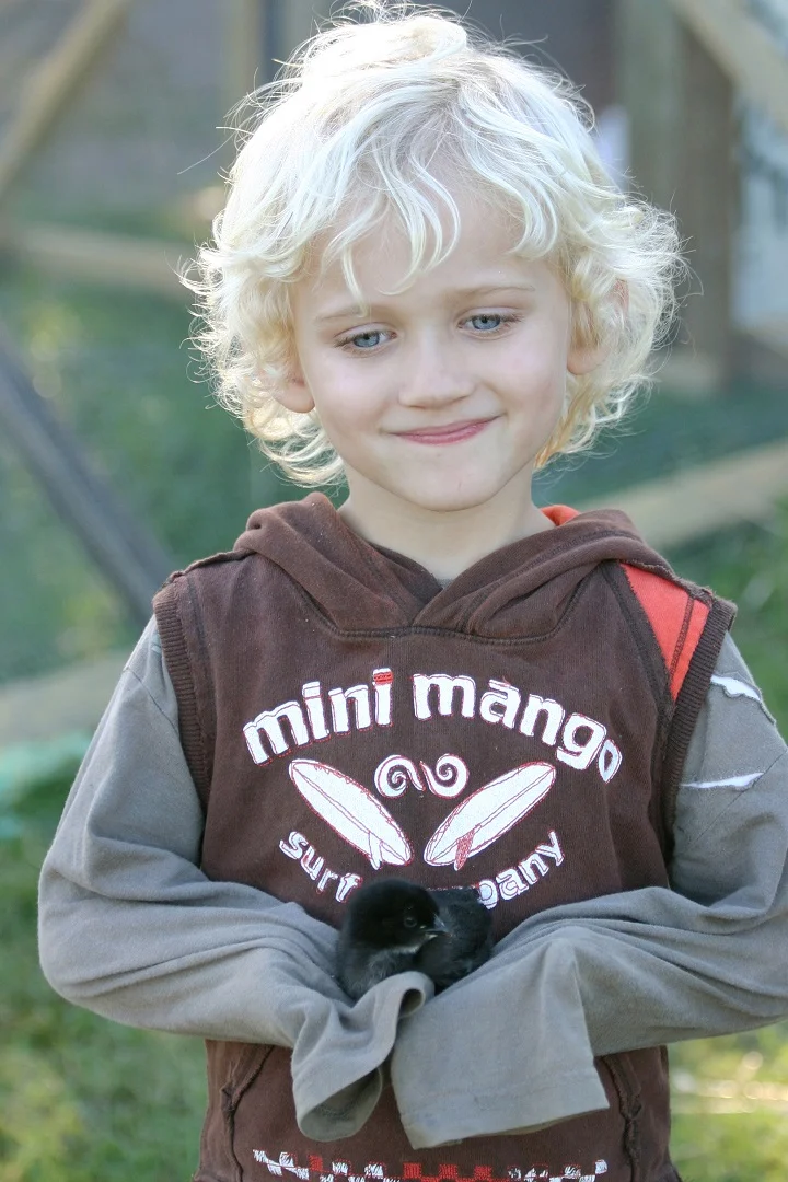 ON THE FARM - DENISE TIDSWELL - MERIT