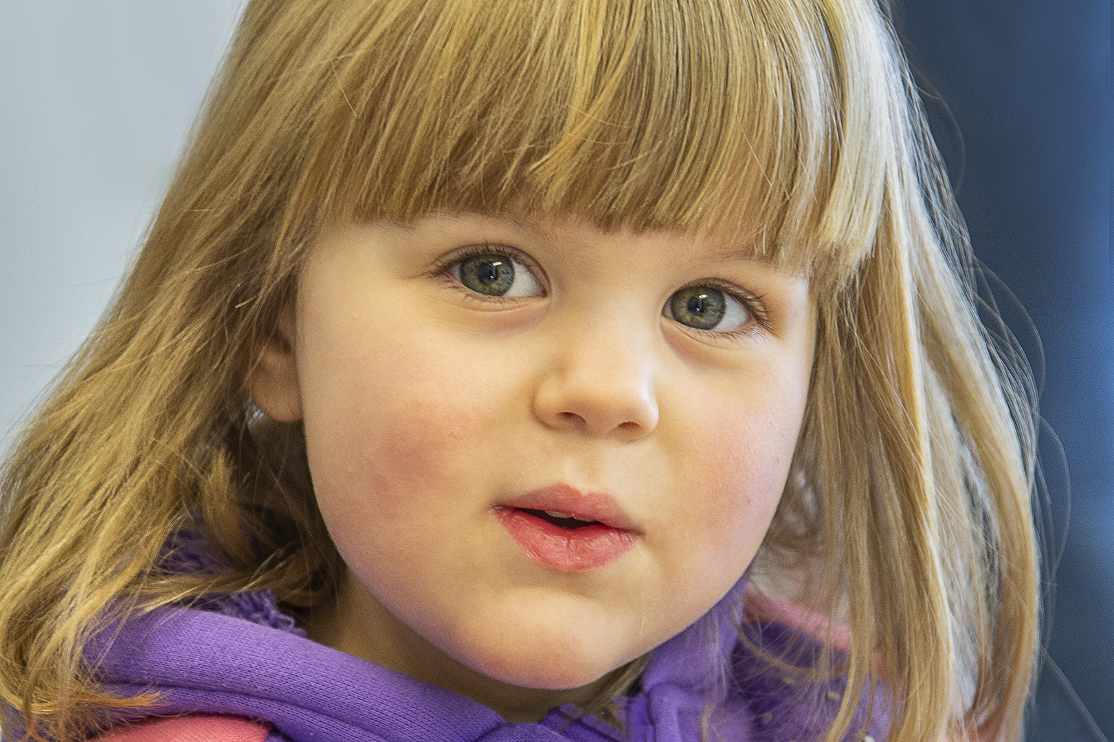 LITTLE MISS - JANET HARBOTTLE - MERIT