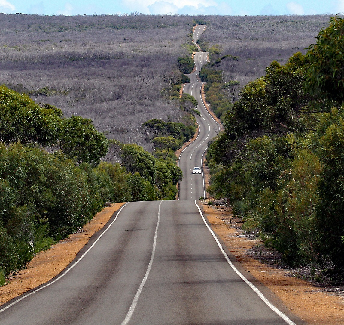 PLAYFORD HWY - DENISE TIDSWELL - MERIT