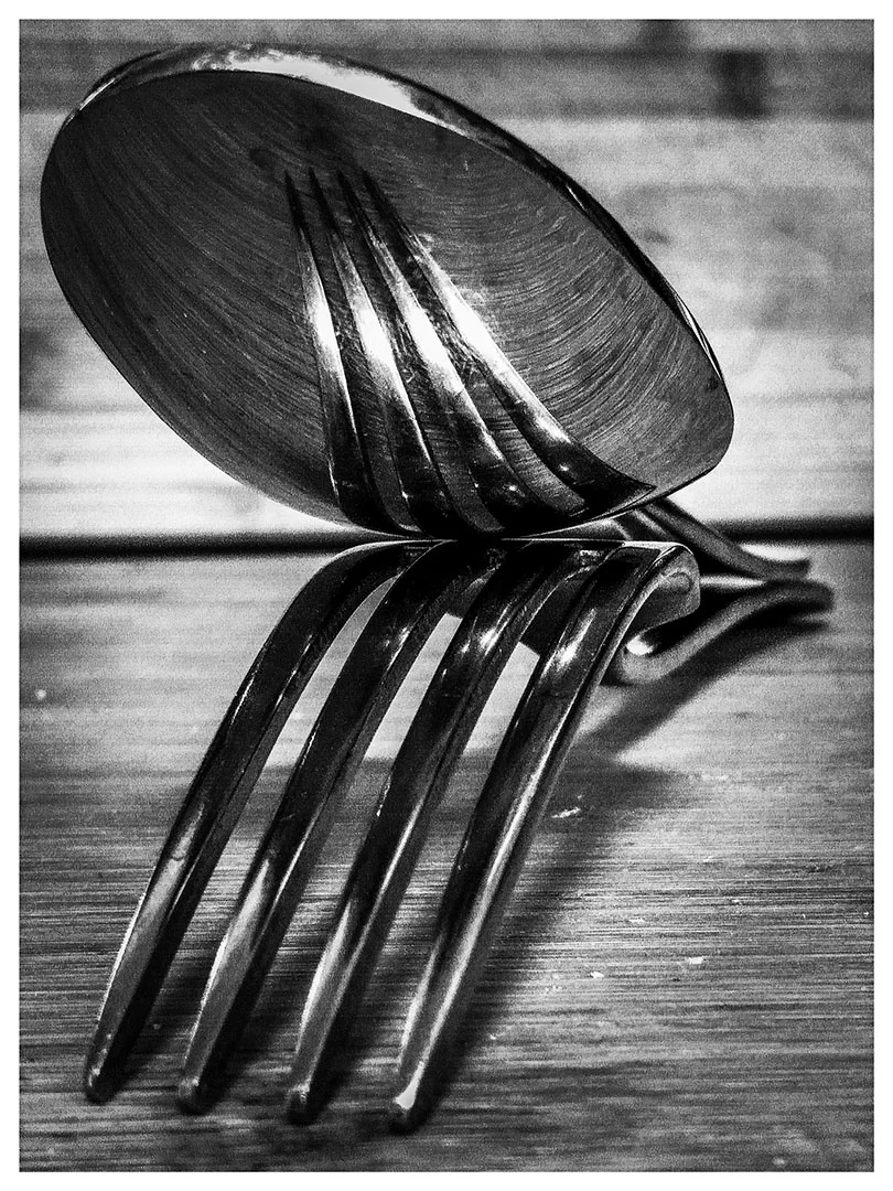 CUTLERY - CARLEE B - DISTINCTION
