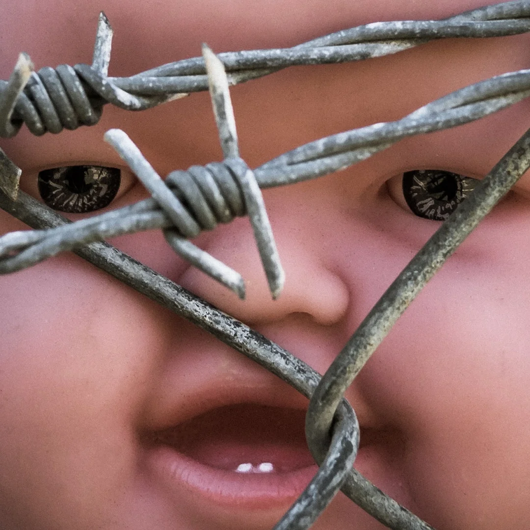 Born Behind the Wire - Michael Flynn - Merit