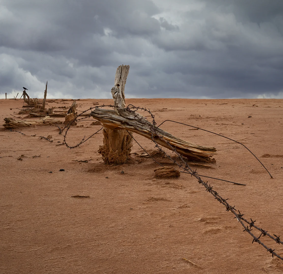 Once Upon A Fence  - Janet Harbottle - Honour