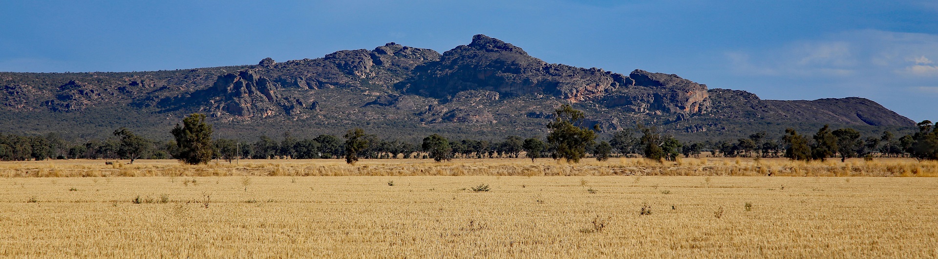 The grampians - Denise Tidswell - Merit