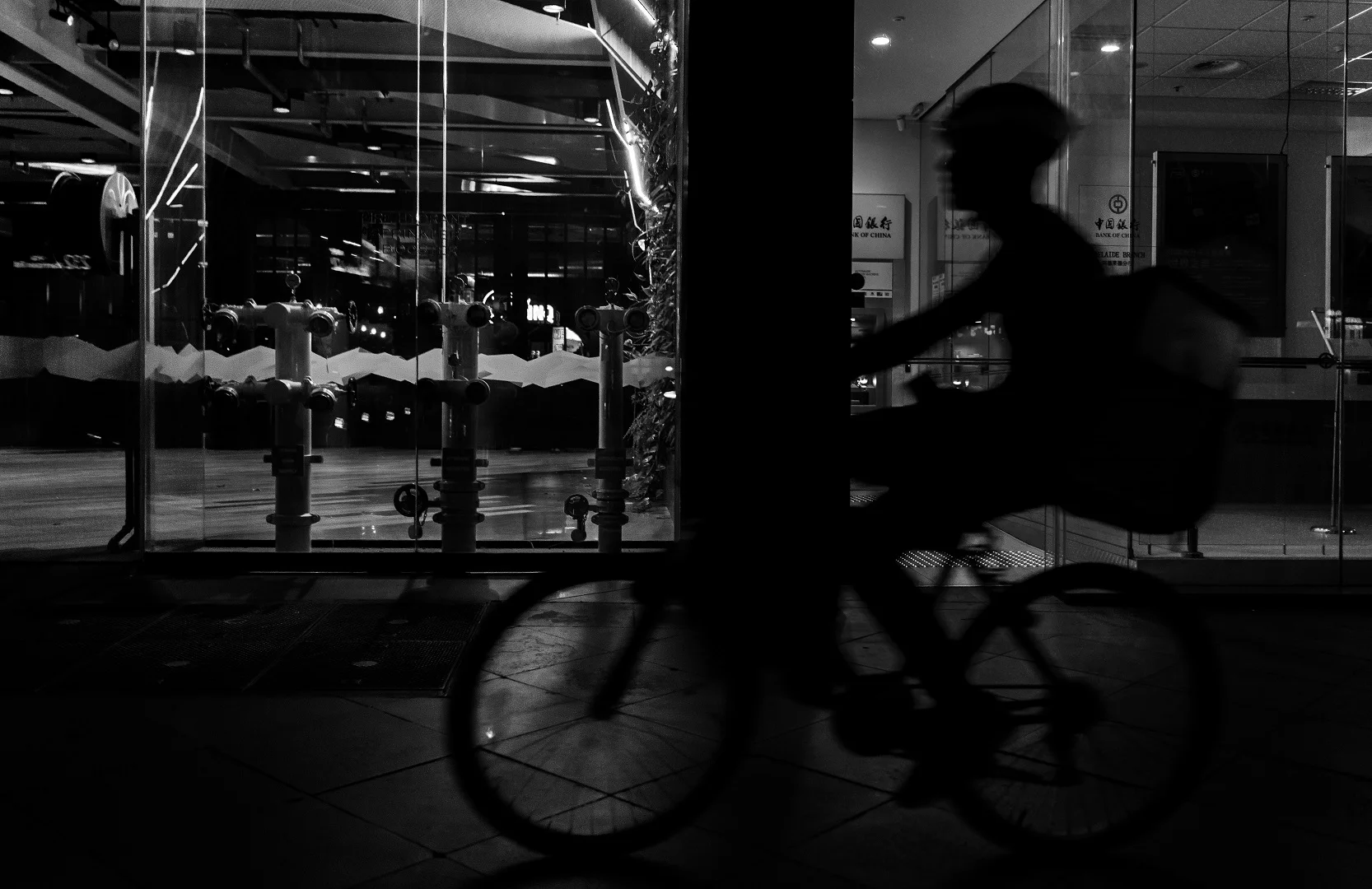 Shadows in the dark - Mohit Bhatia - Merit