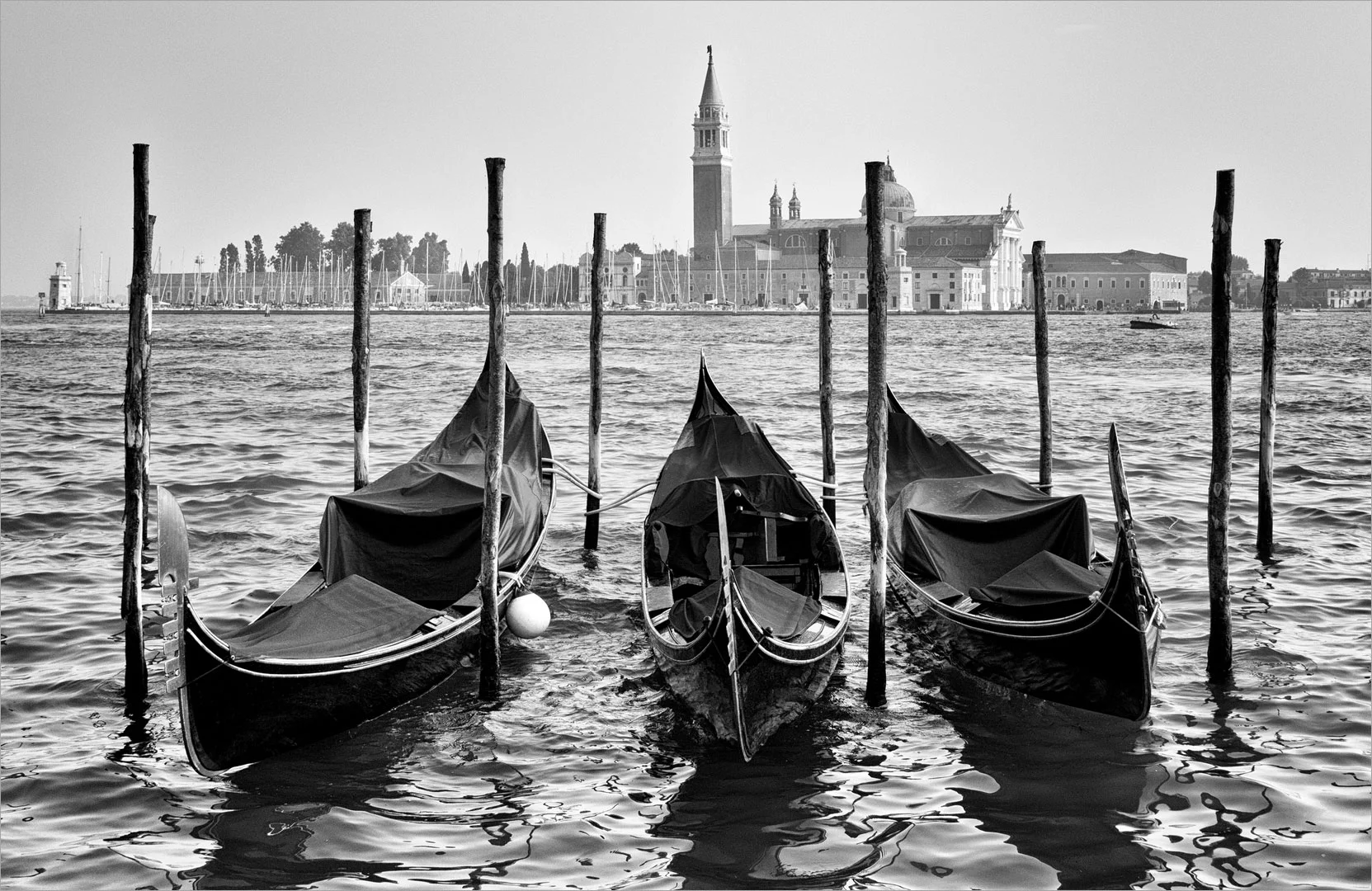 Trio of Gondollas - Brenda Jones - Distinction