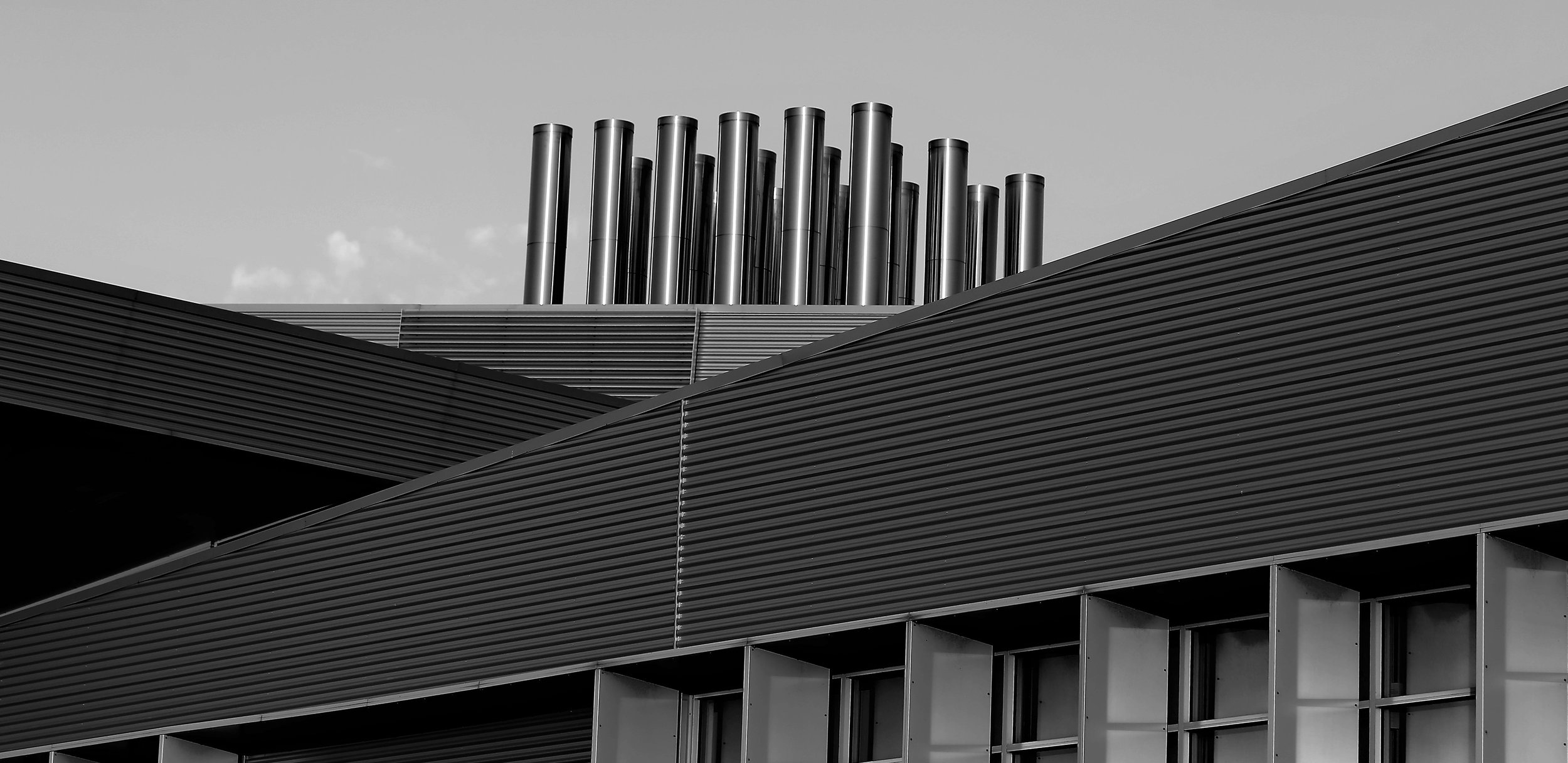 Defined Lines - Denise Tidswell - Honour