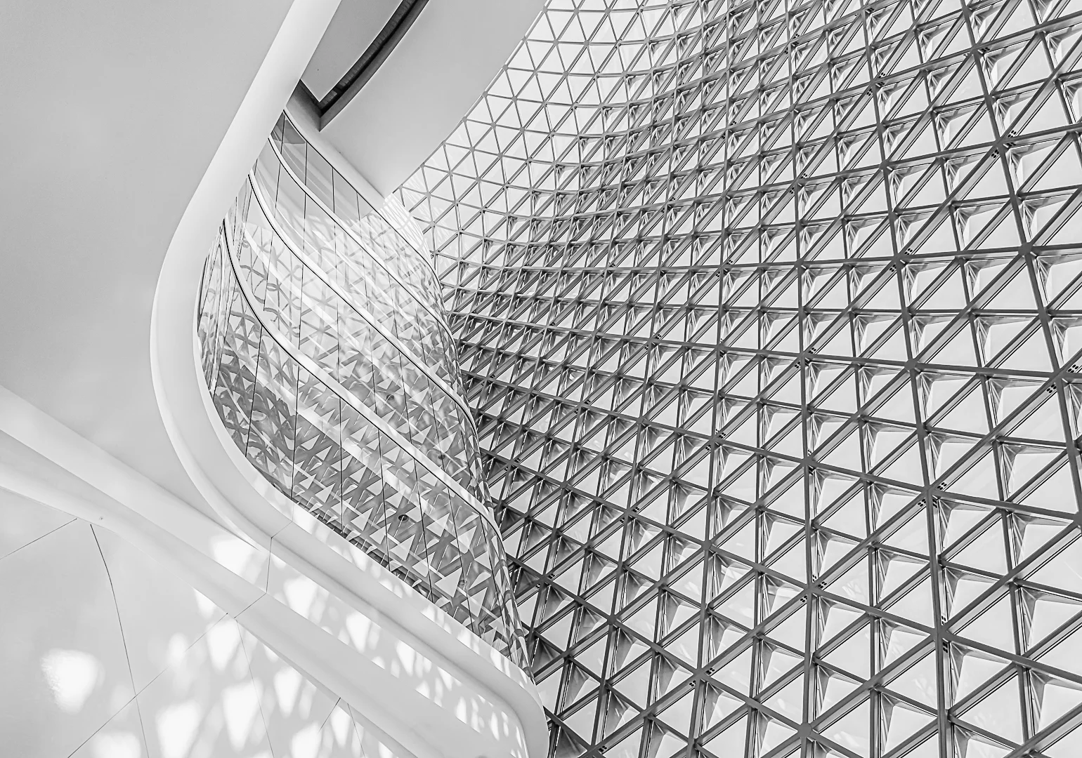 SAHMRI Foyer - Dianne Parman - Honour