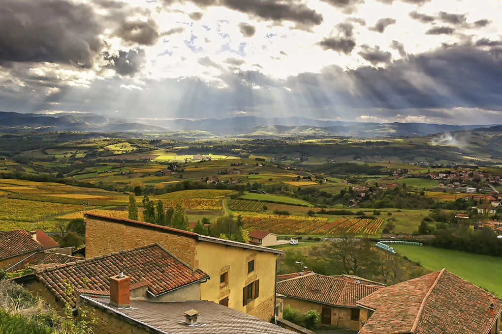 beaujolais sunrays