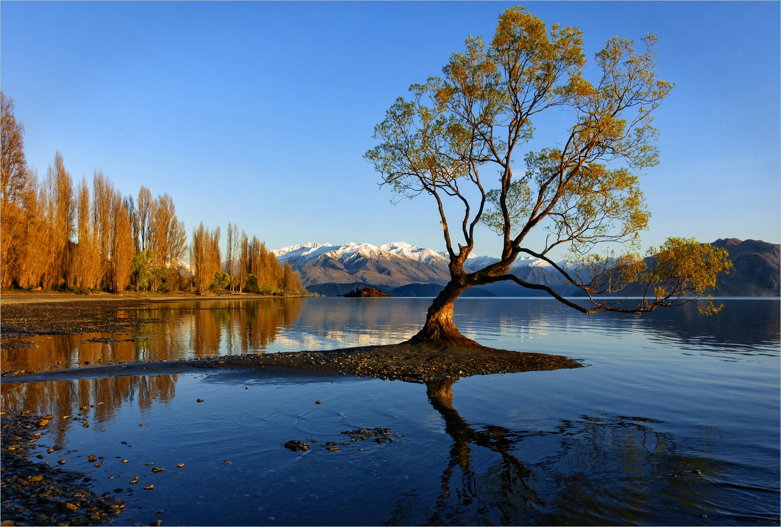 Sunrise at the lake - Brenda Jones - Distinction