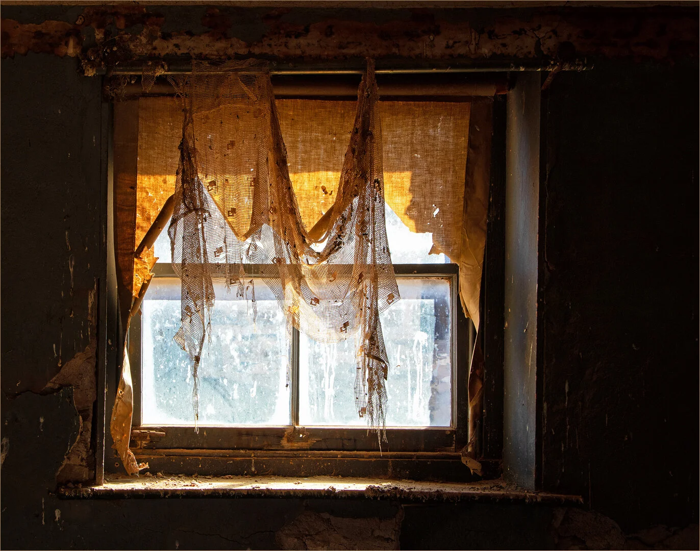 The final curtin - Brenda Jones - Honour