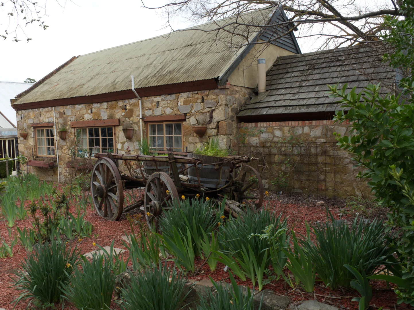 Serenity - Ashley Martin - Merit