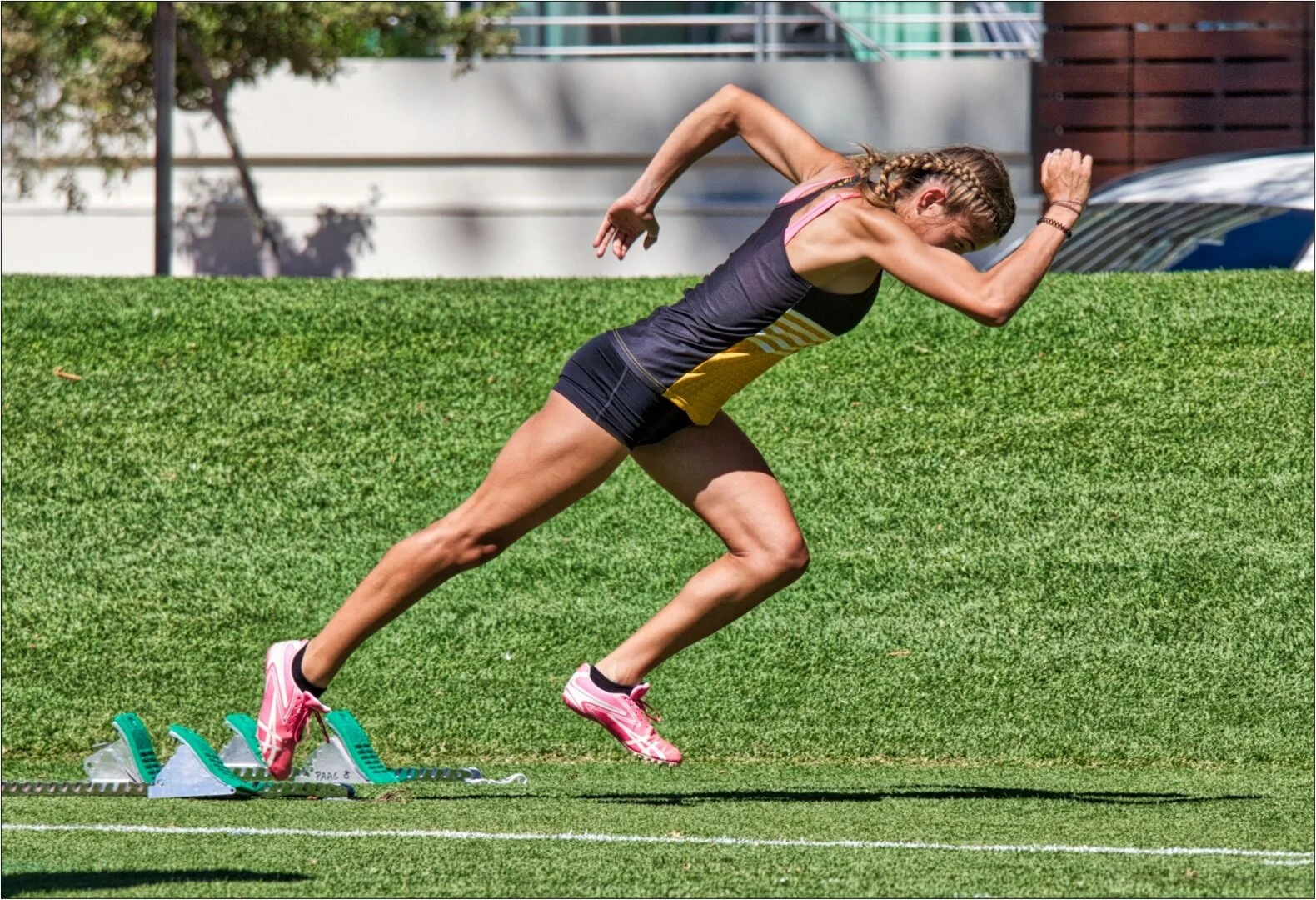 Go - David Sandison - Merit