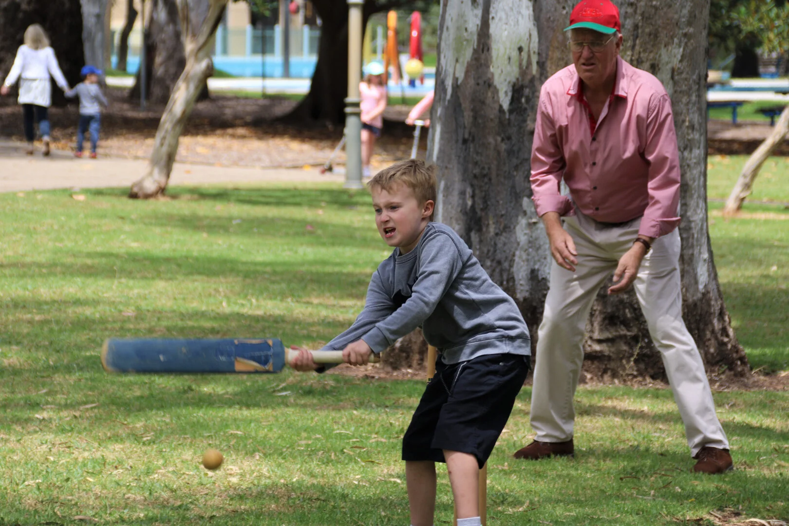 Cover drive - Peter Foale - Merit