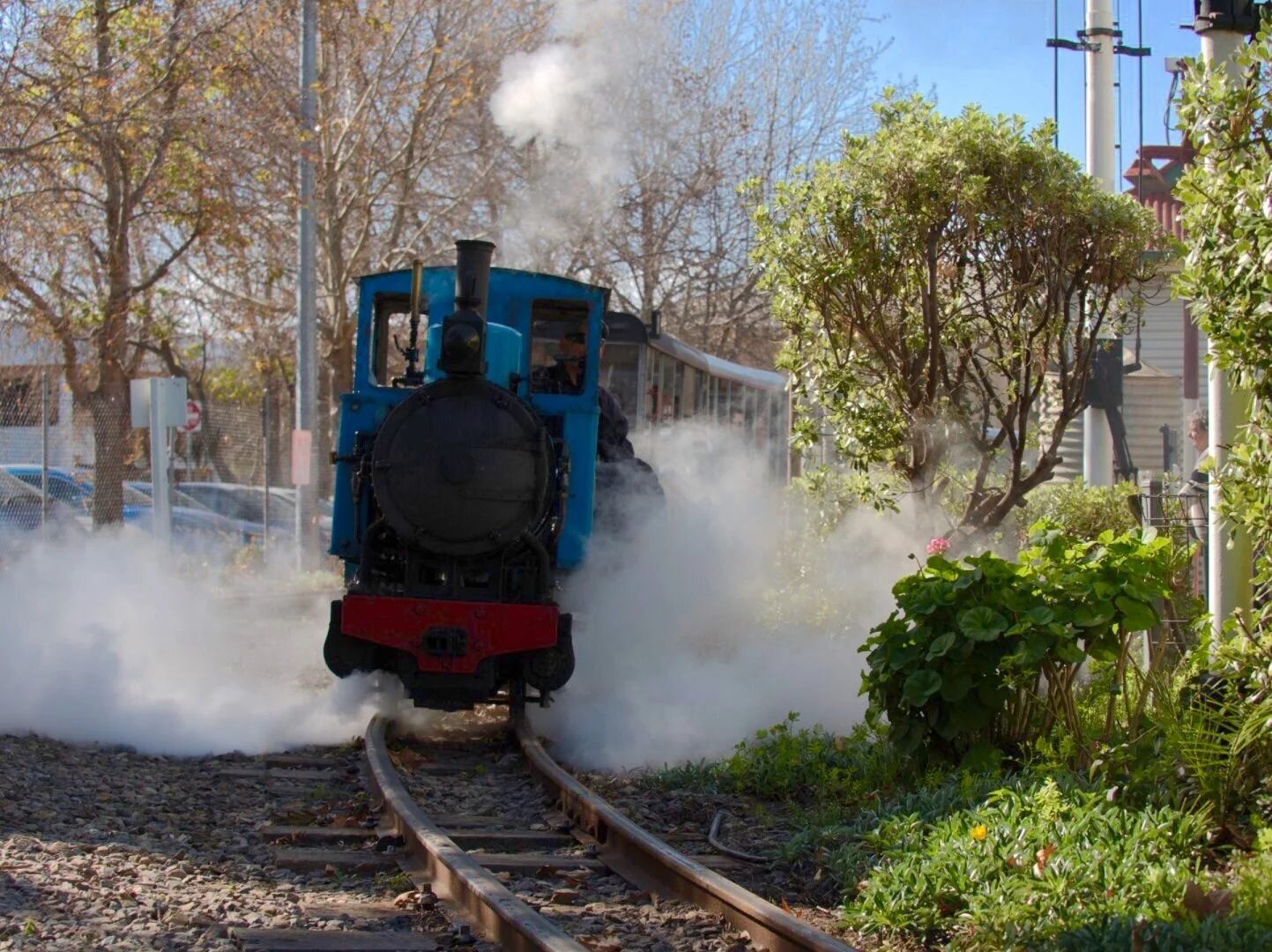 Huff and Puff - David Sandison - Merit