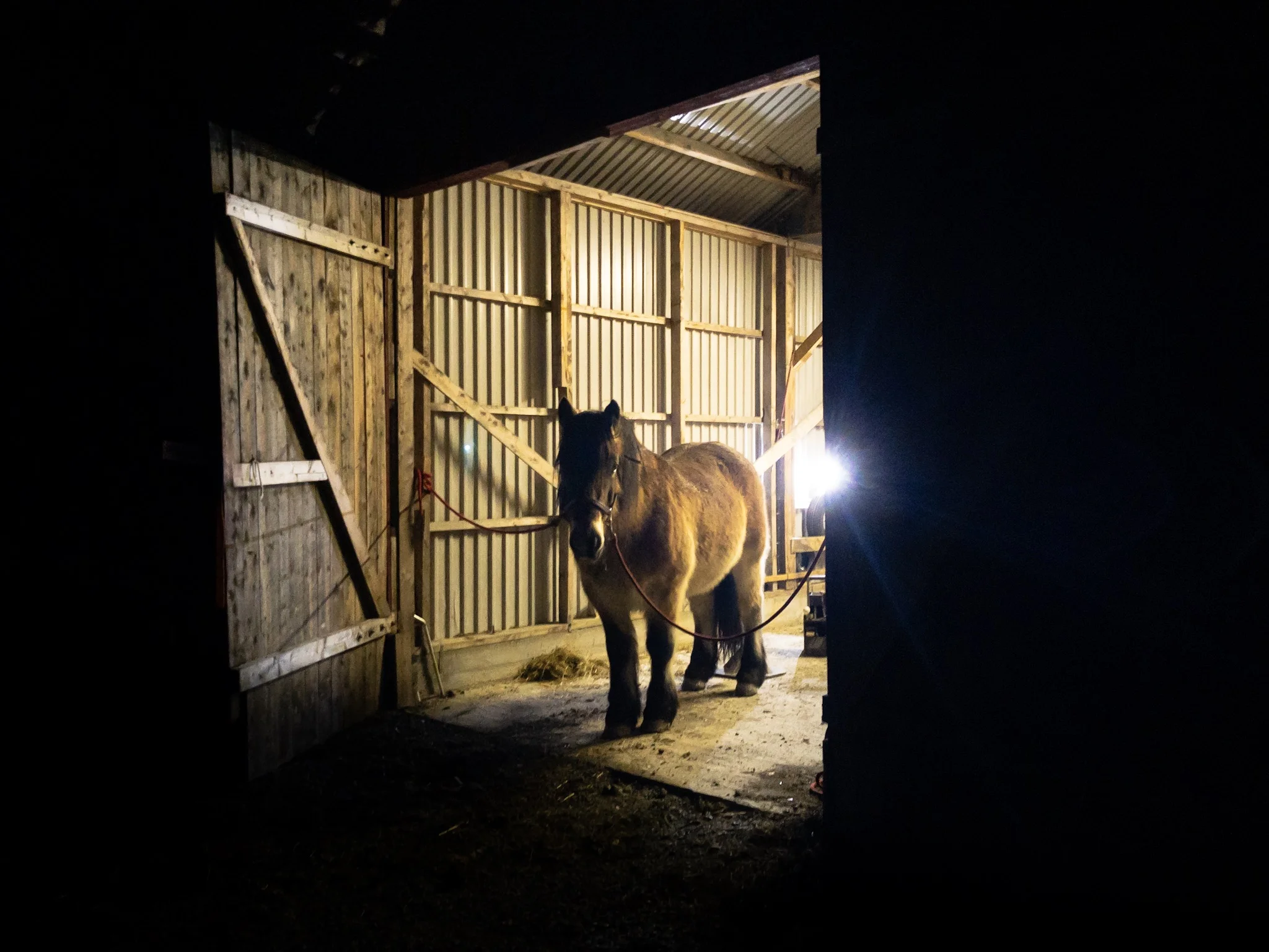Vi tror på vinter og snø!