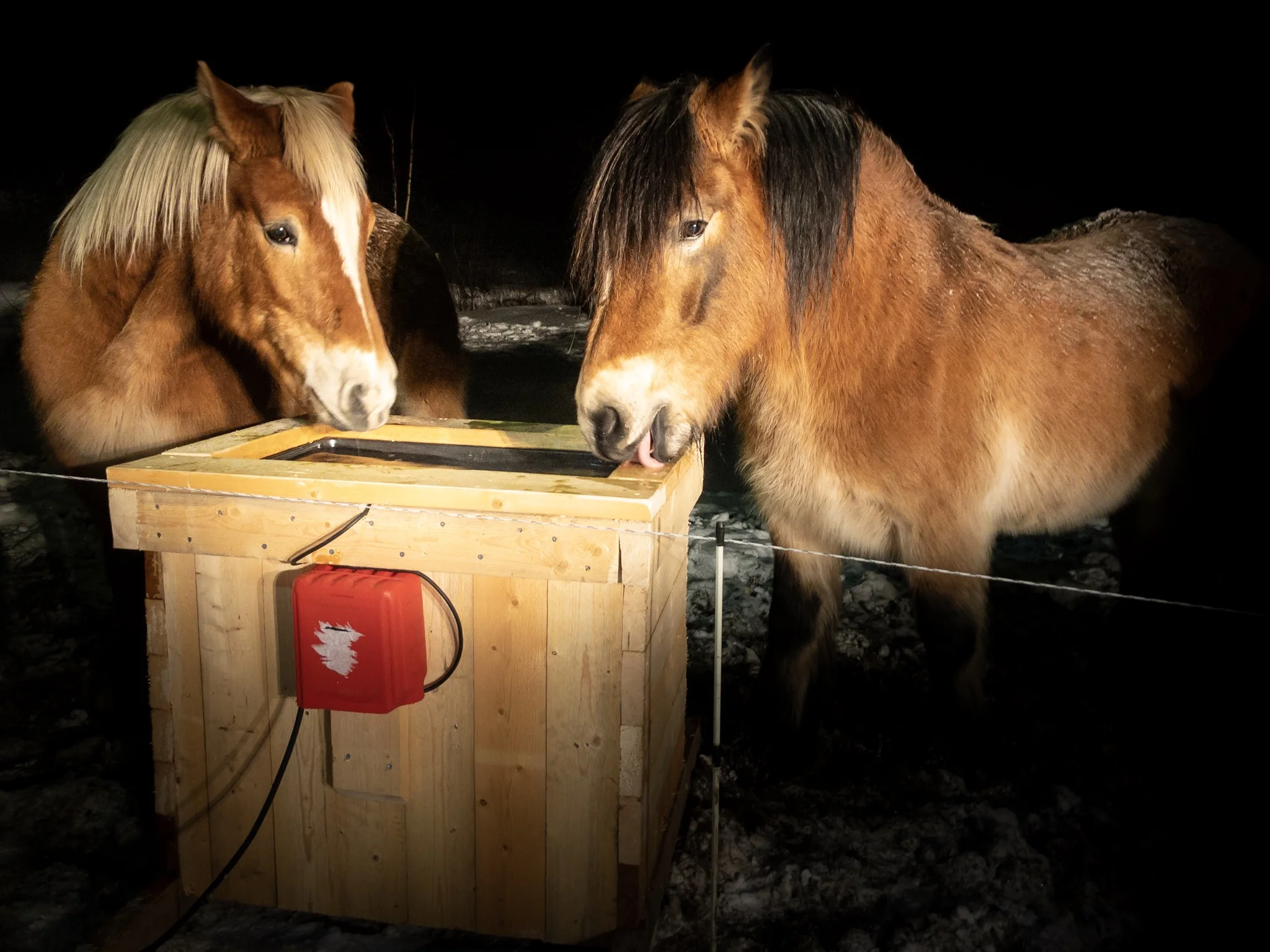 Selvgjort er velgjort