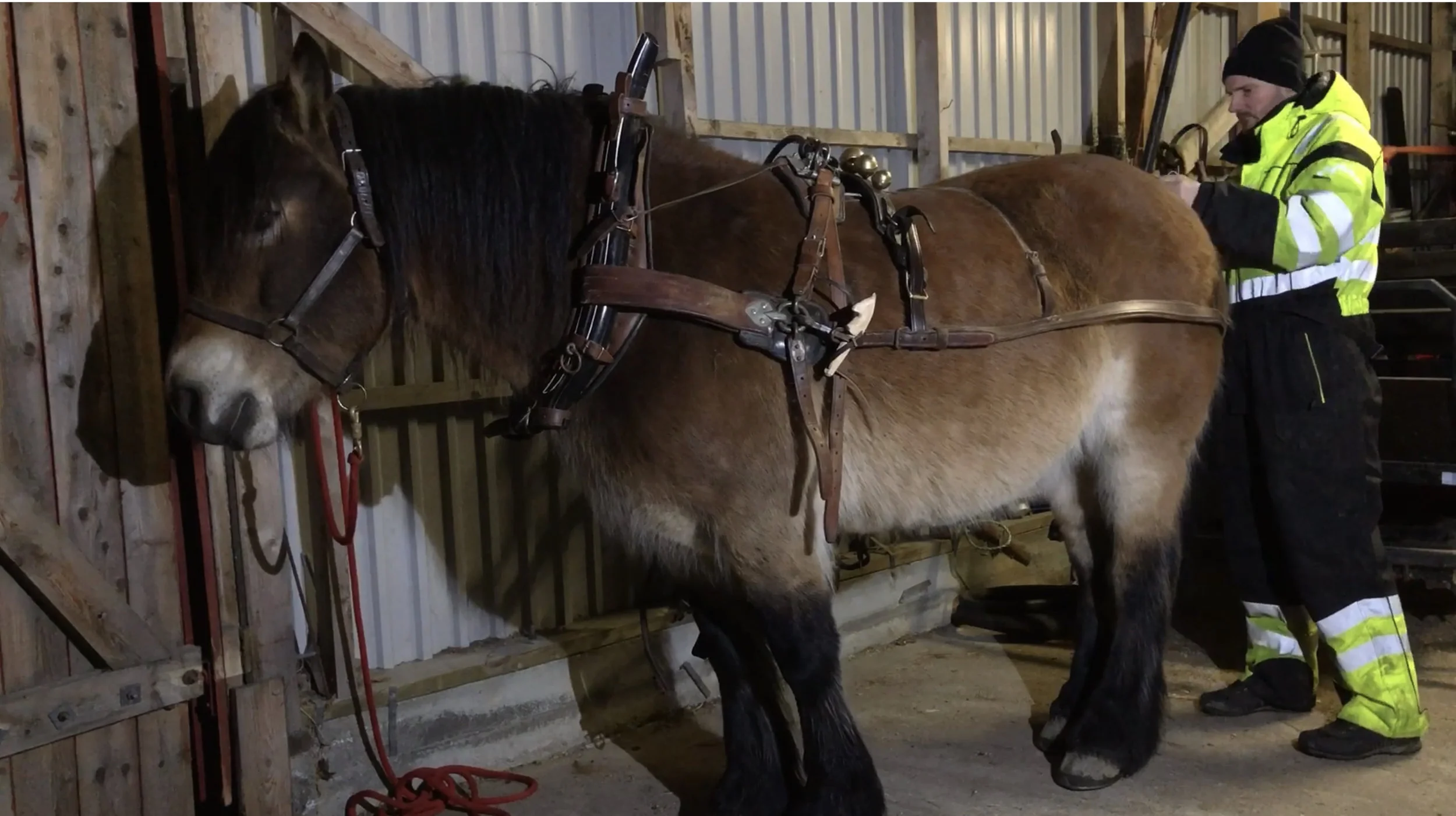 Kjøring med tospann