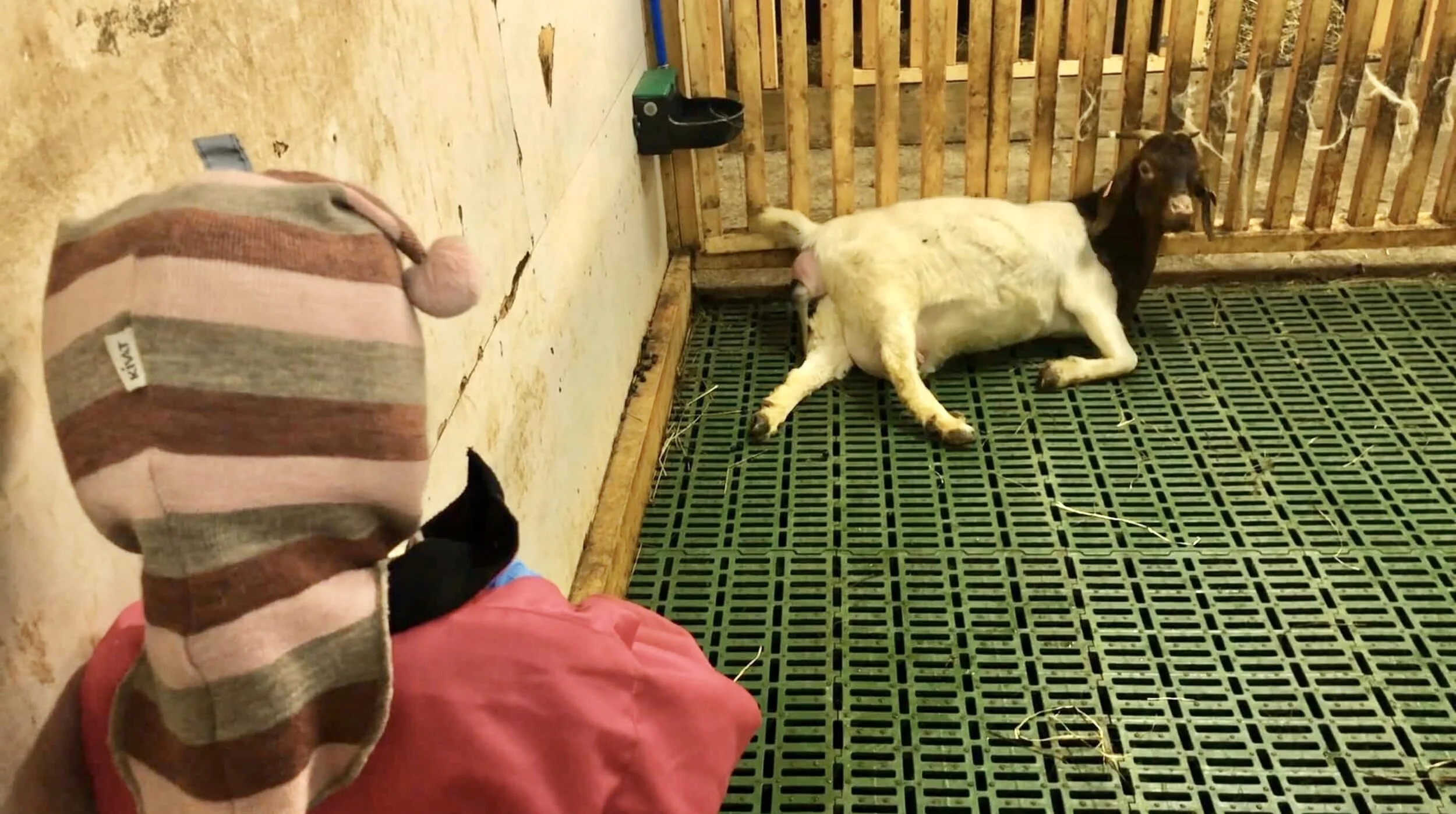 Tidlig krøkes (film)