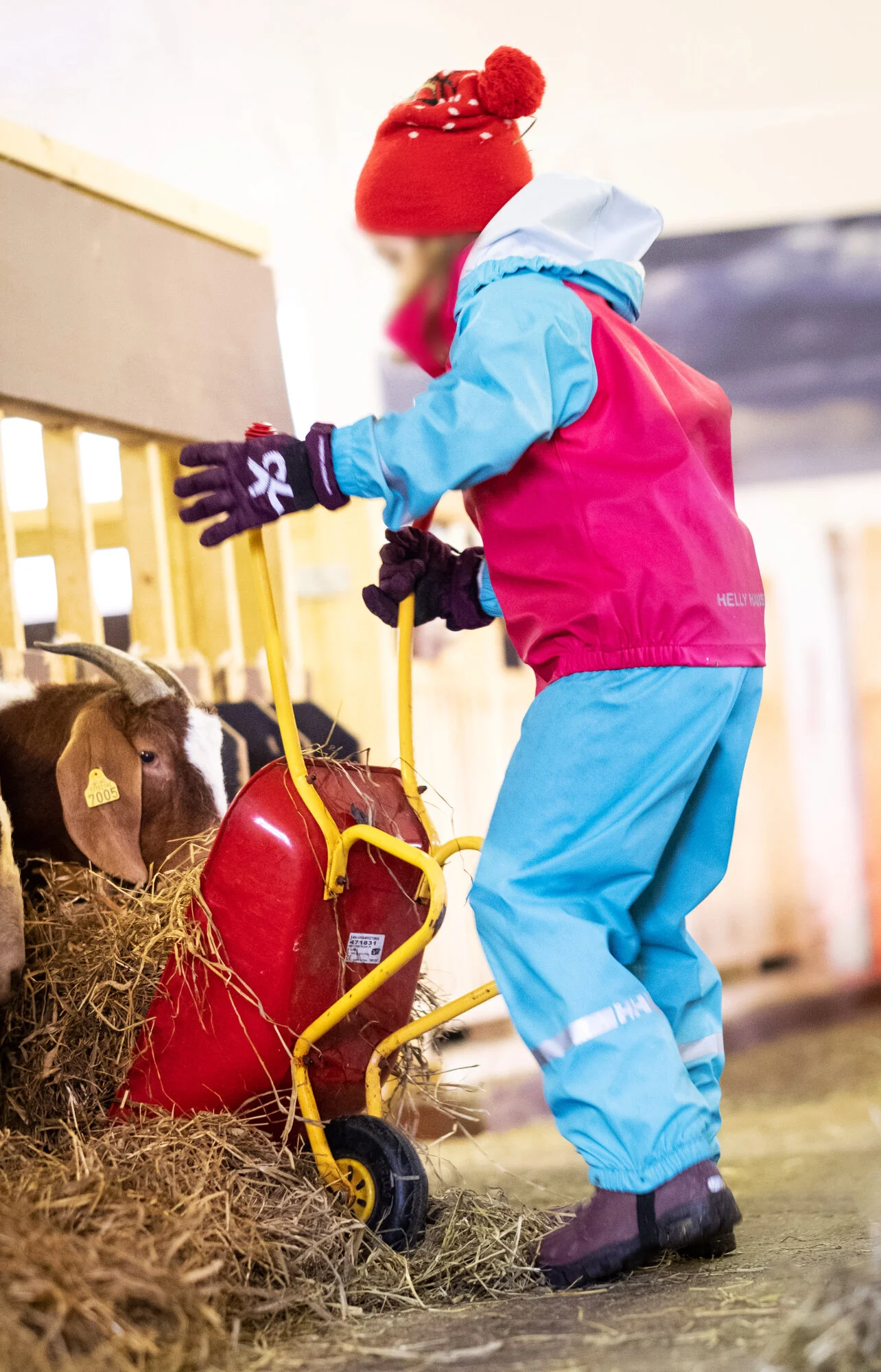 Hjelpsomme småtroll