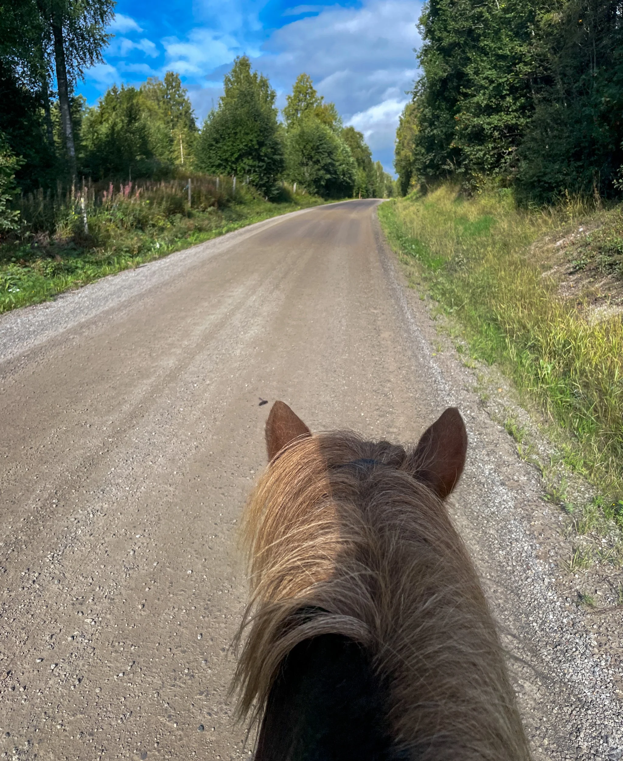 Dag 2 - Matfors til Stöde