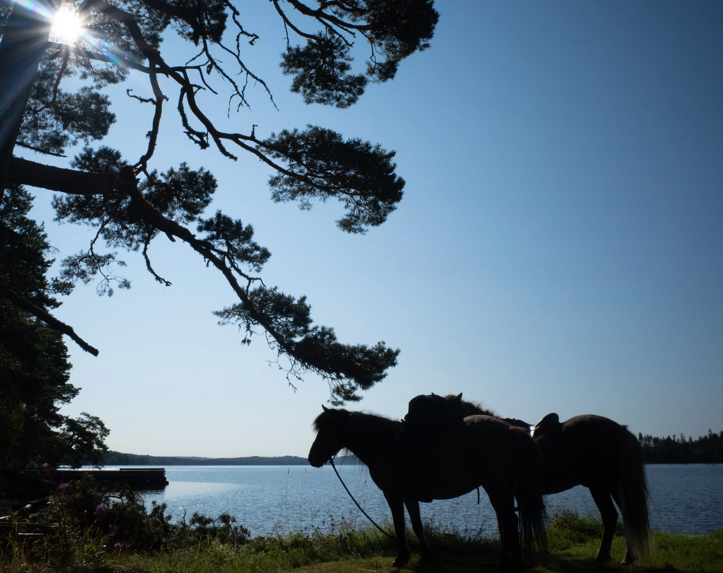 Dag 6 - Bräcke til Revsund