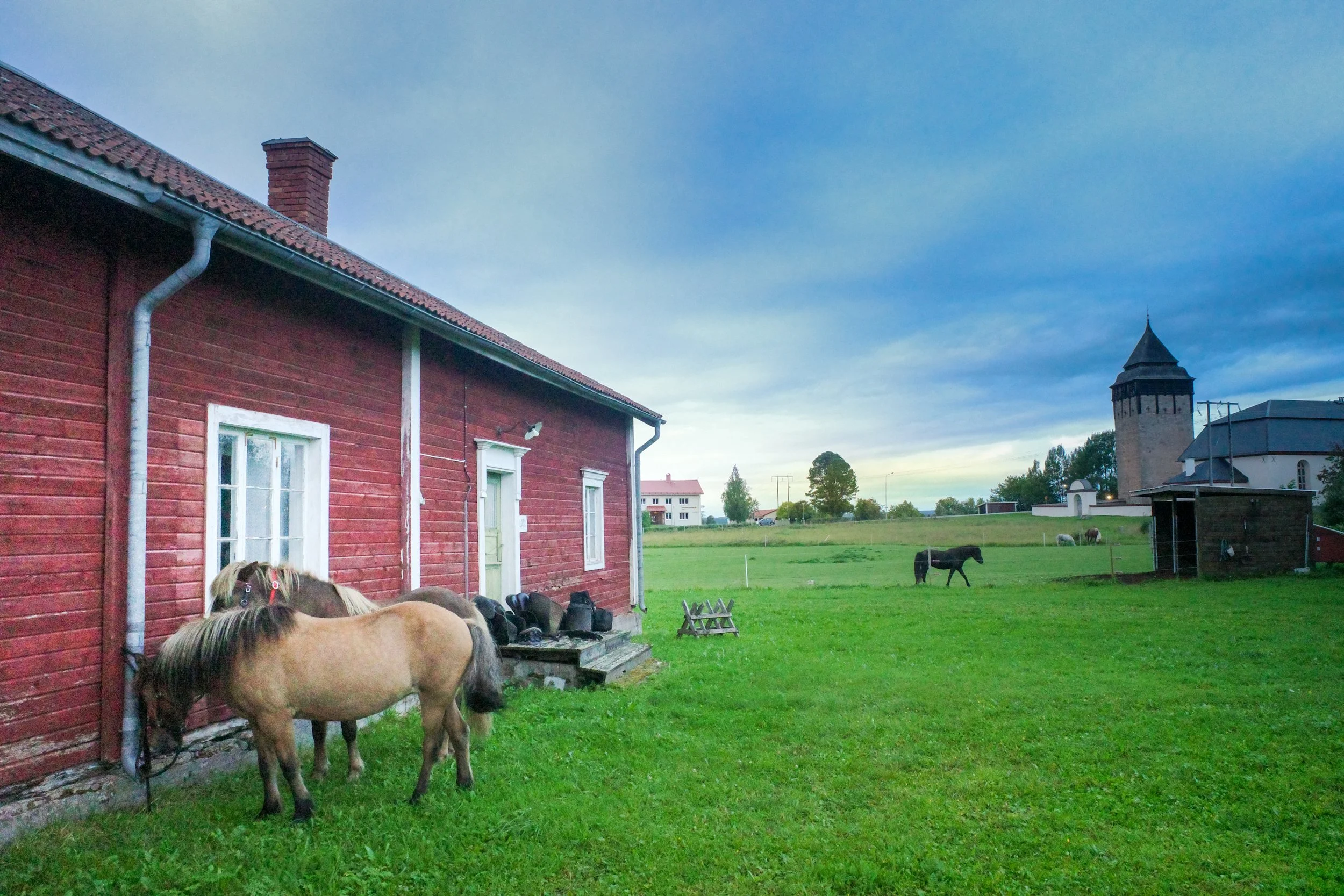 Dag 8 - Svedje til Brunflo